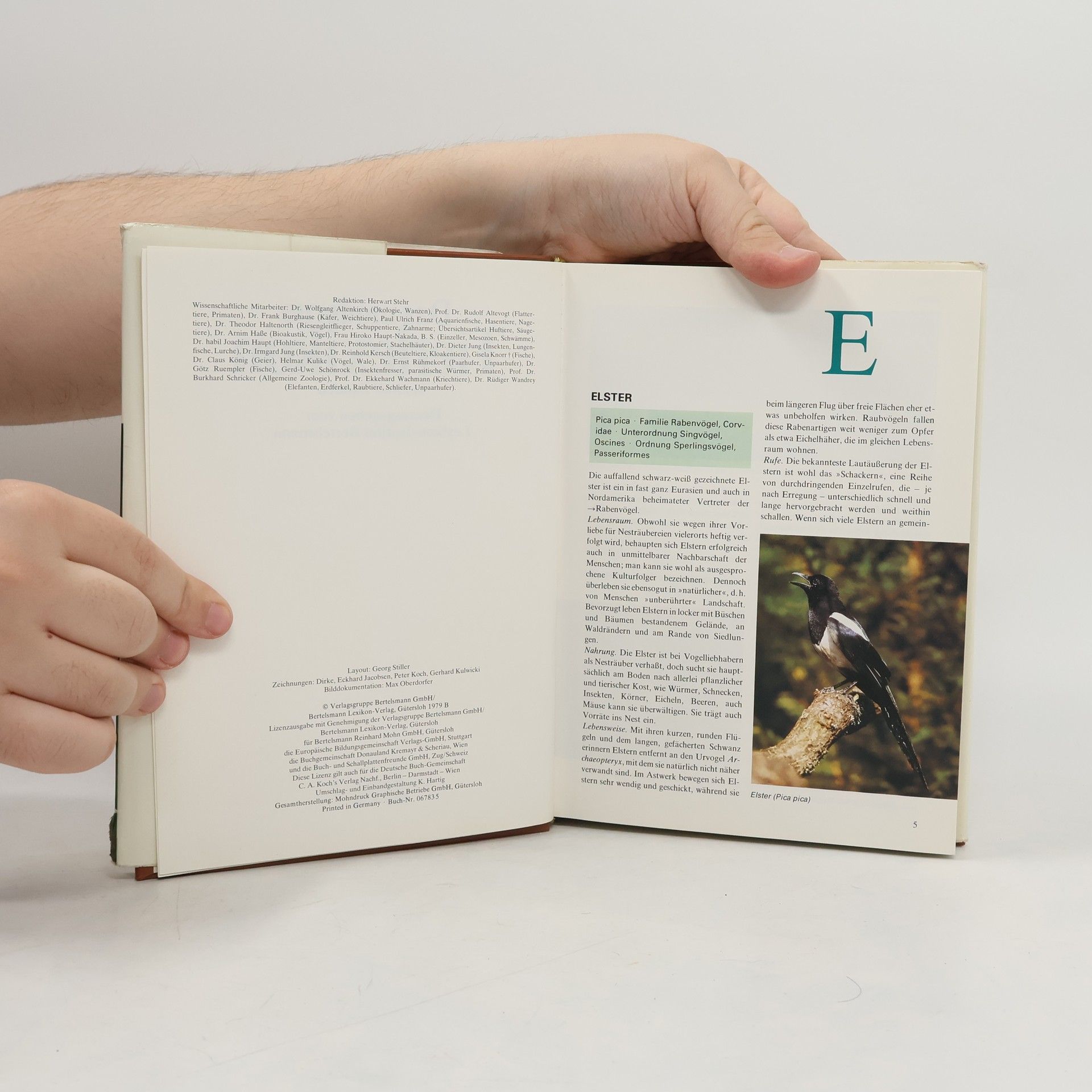 Autorenkollektiv Das moderne Tierlexikon 3. Els-Gaz