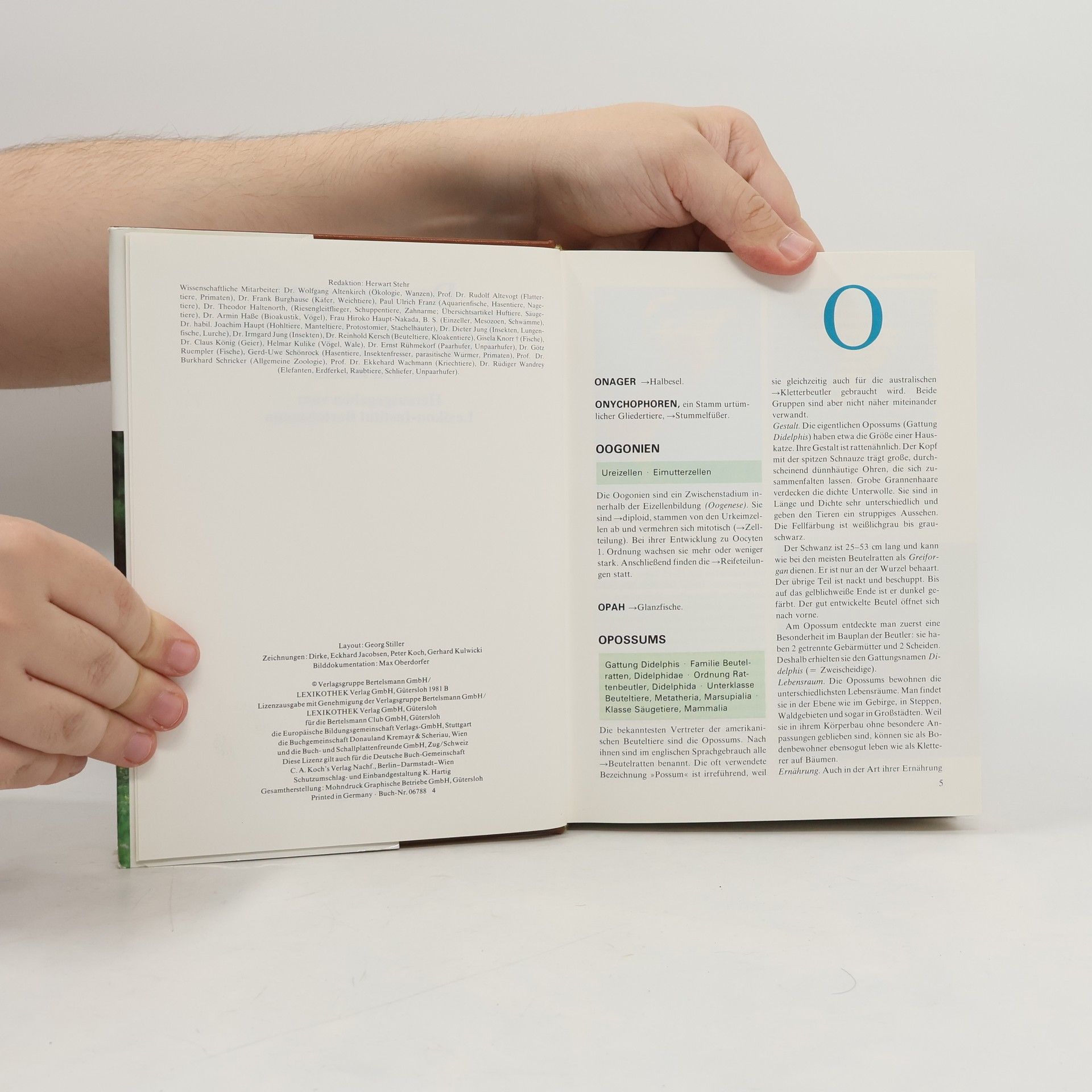 Autorenkollektiv Das moderne Tierlexikon 8. Ona-Rog