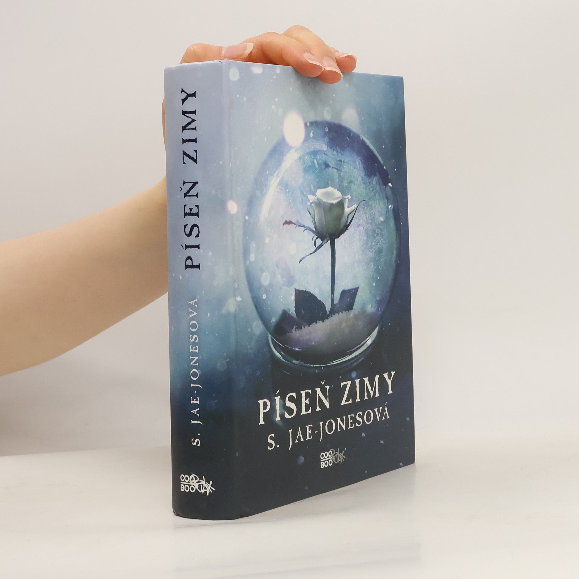 S. Jae-Jones Píseň zimy