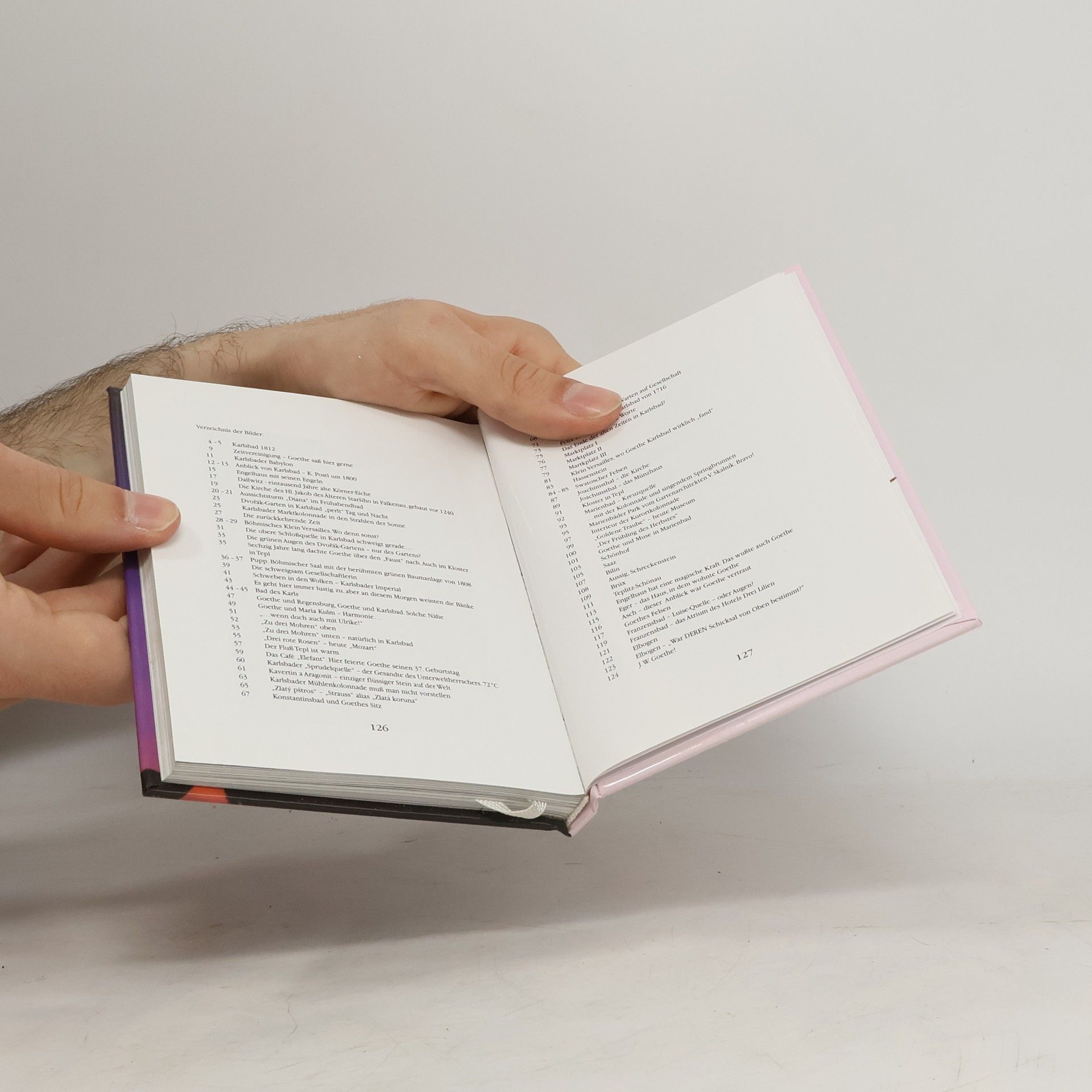 Jan Šimon Fiala Der Dichterfürst J. W. Goethe in Böhmen