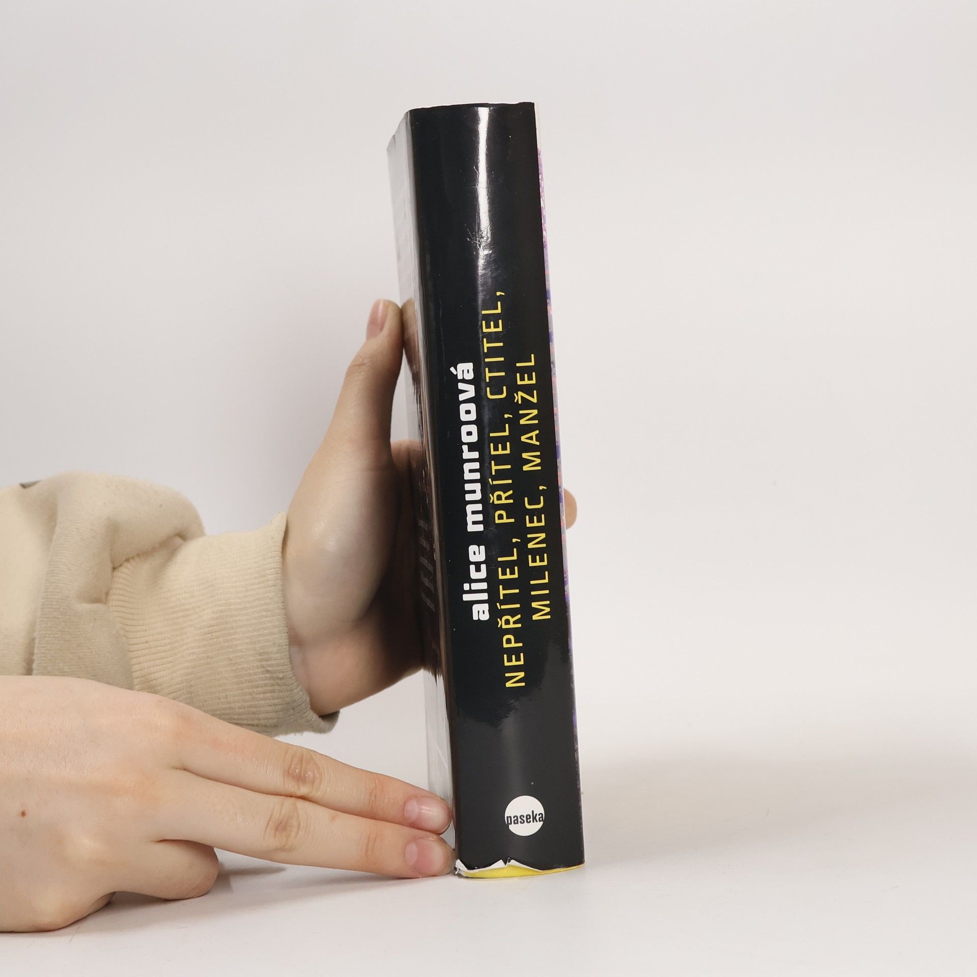 Alice Munro Nepřítel, přítel, ctitel, milenec, manžel