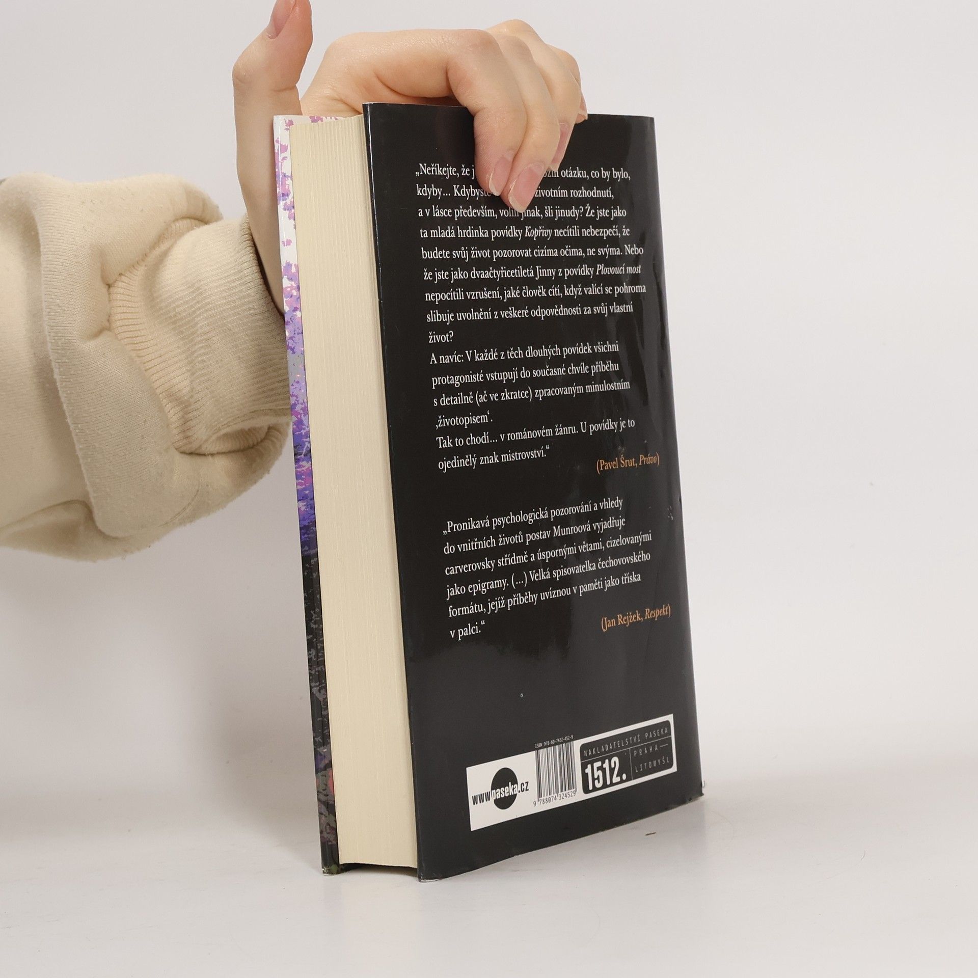 Alice Munro Nepřítel, přítel, ctitel, milenec, manžel