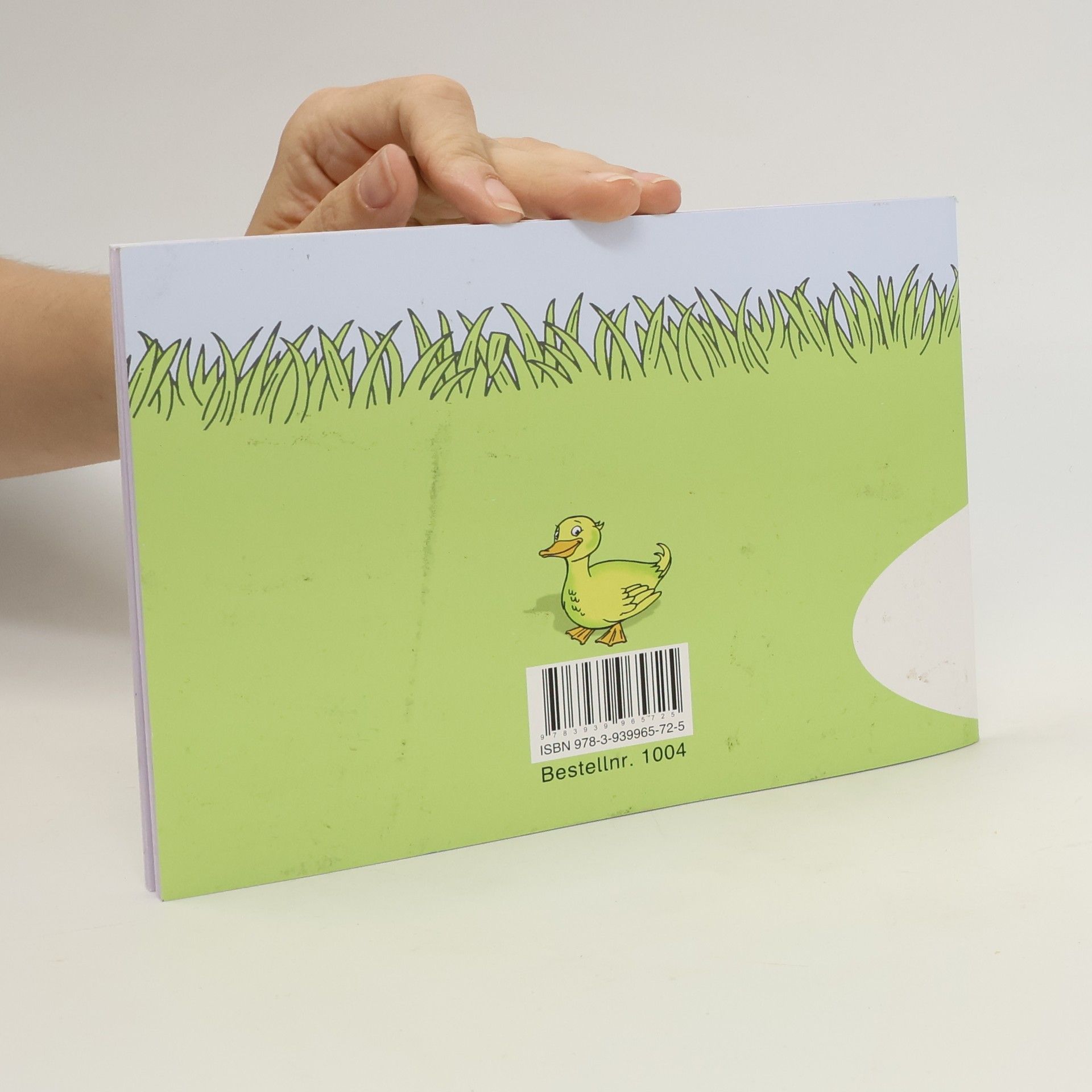 Peter Wachendorf Das Heft mit der Ente