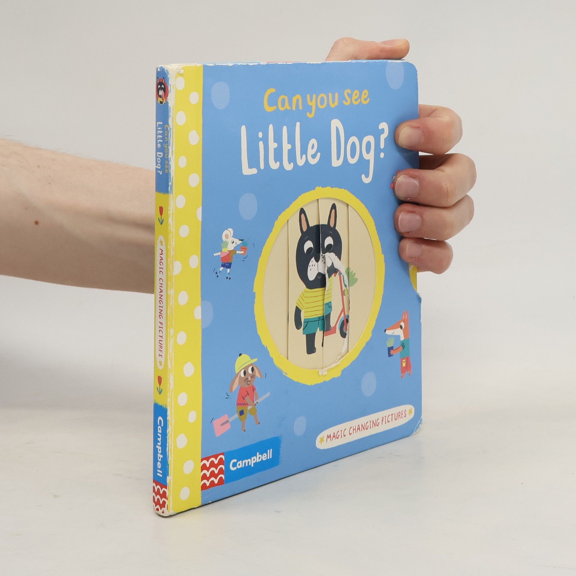 Can You See Little Dog?