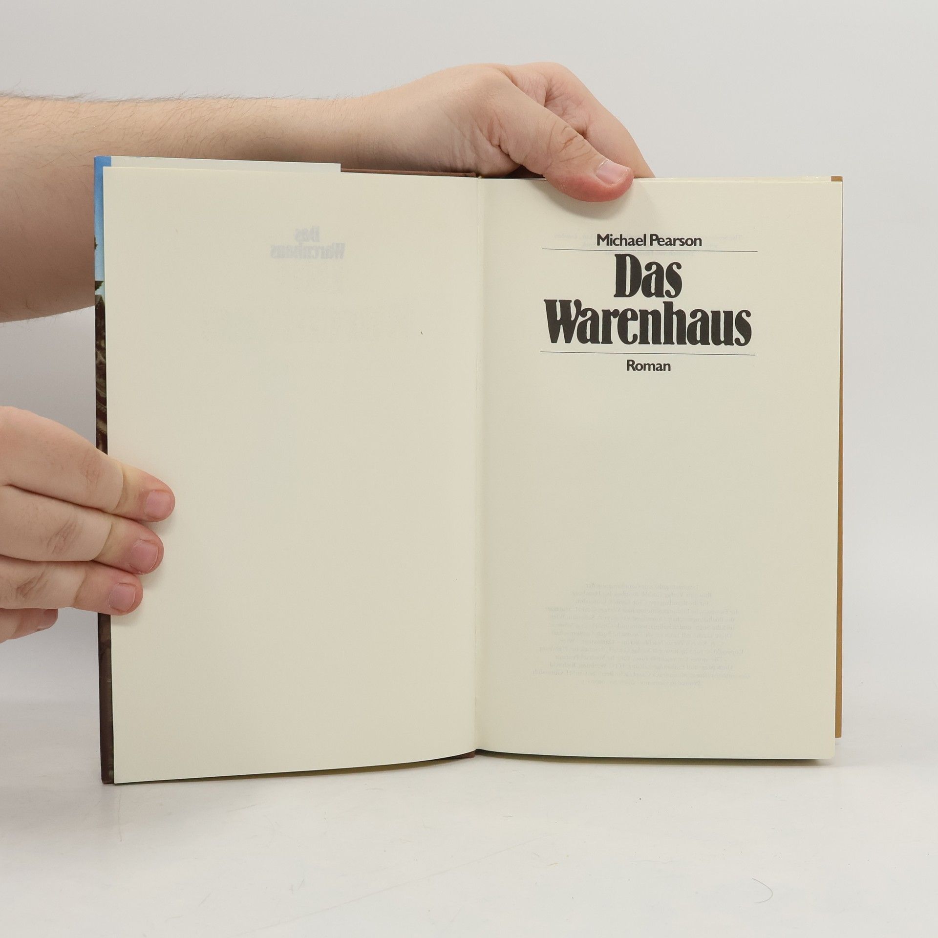 Michael Pearson Das Warenhaus