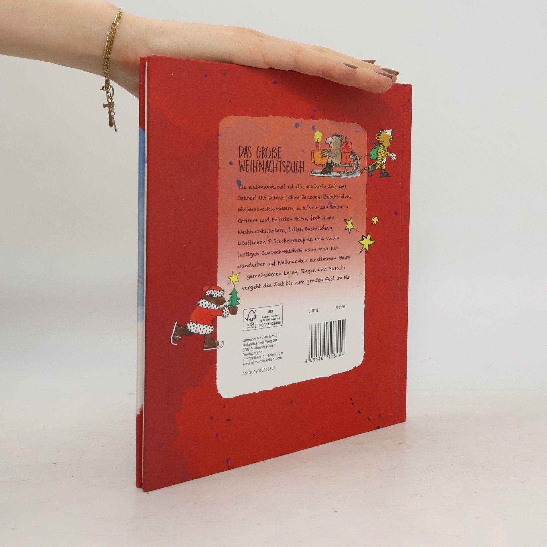 Autores varios Das große Weihnachtsbuch