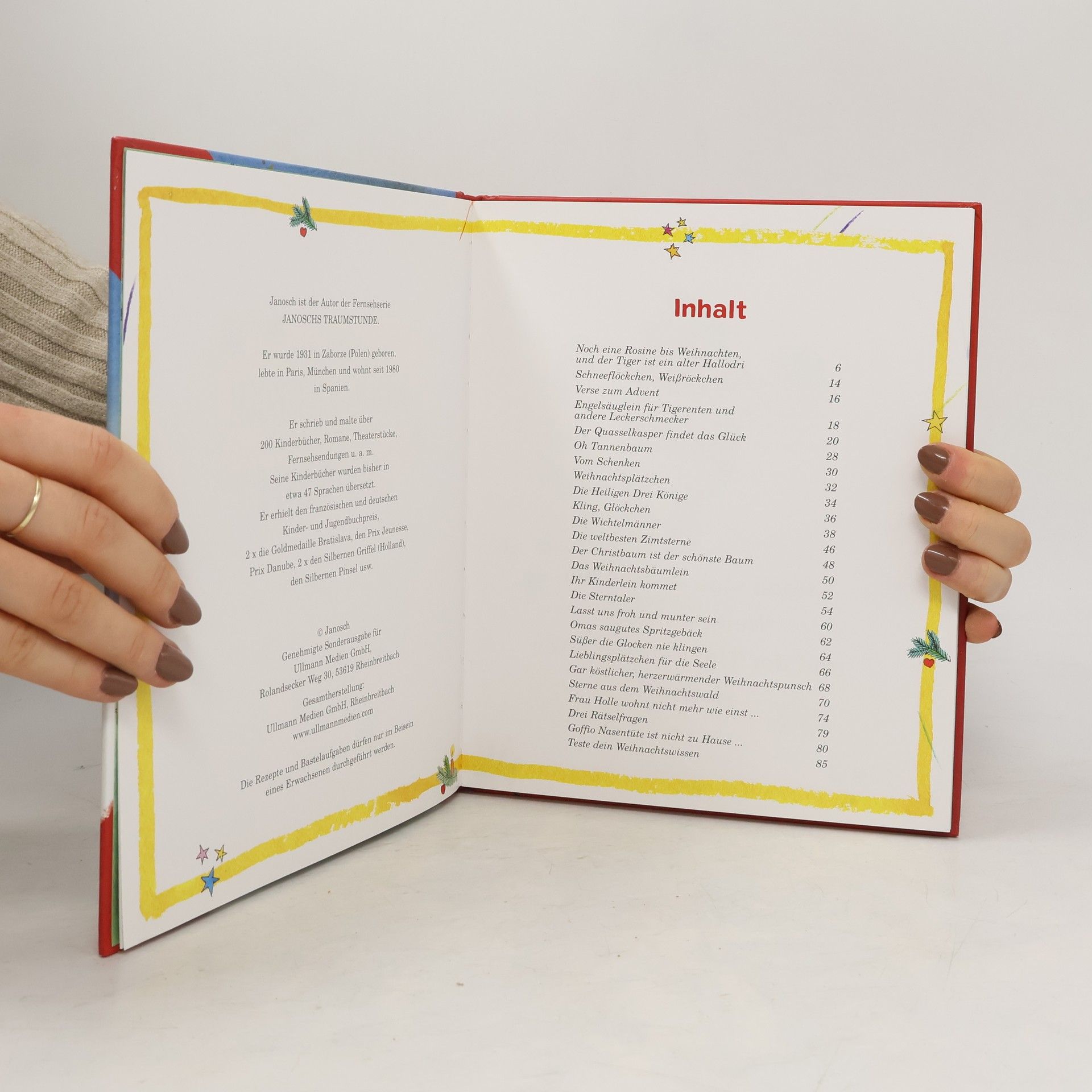 Autores varios Das große Weihnachtsbuch