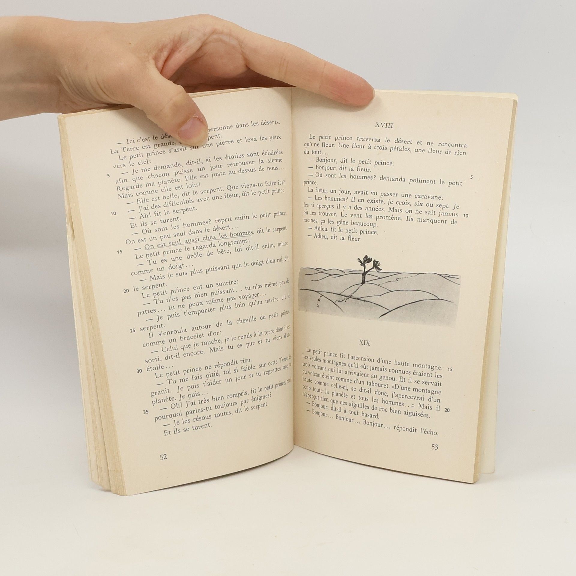 Antoine de Saint-Exupéry Le Petit Prince