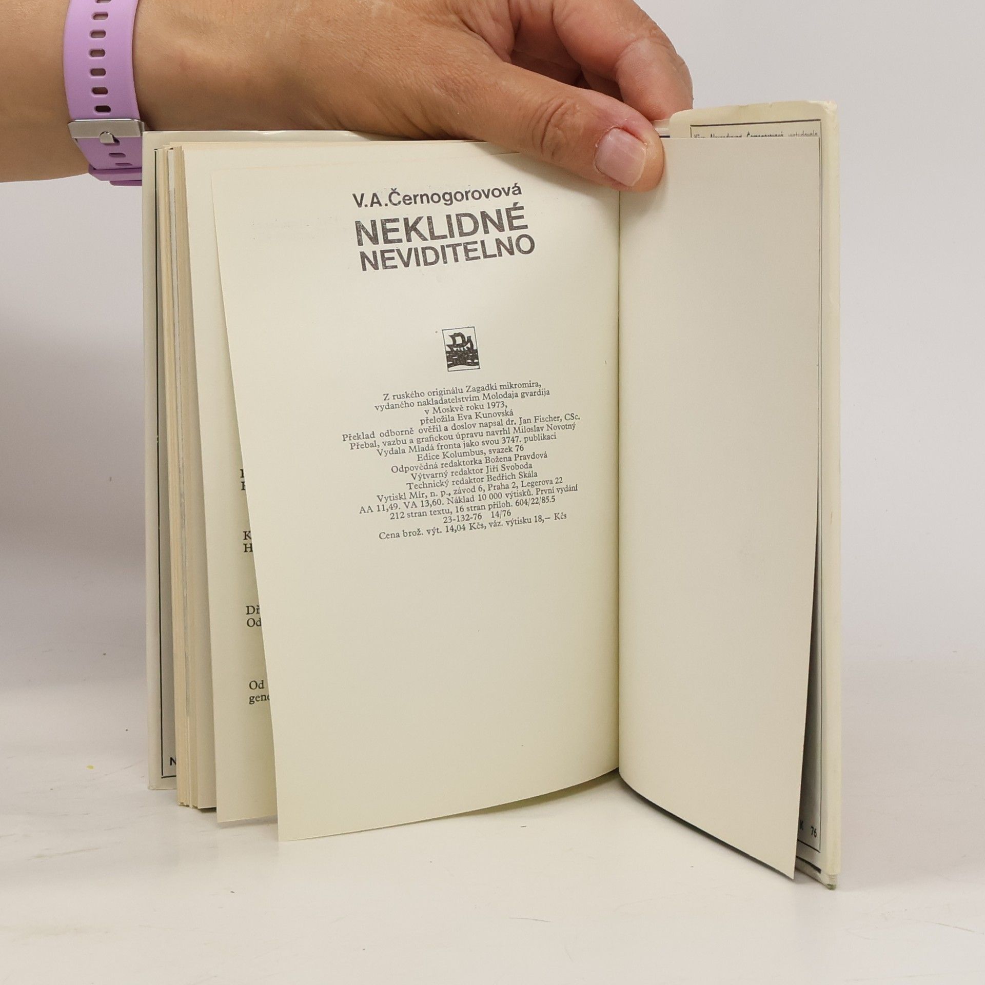 Vera Aleksandrovna Černogorova Neklidné neviditelno