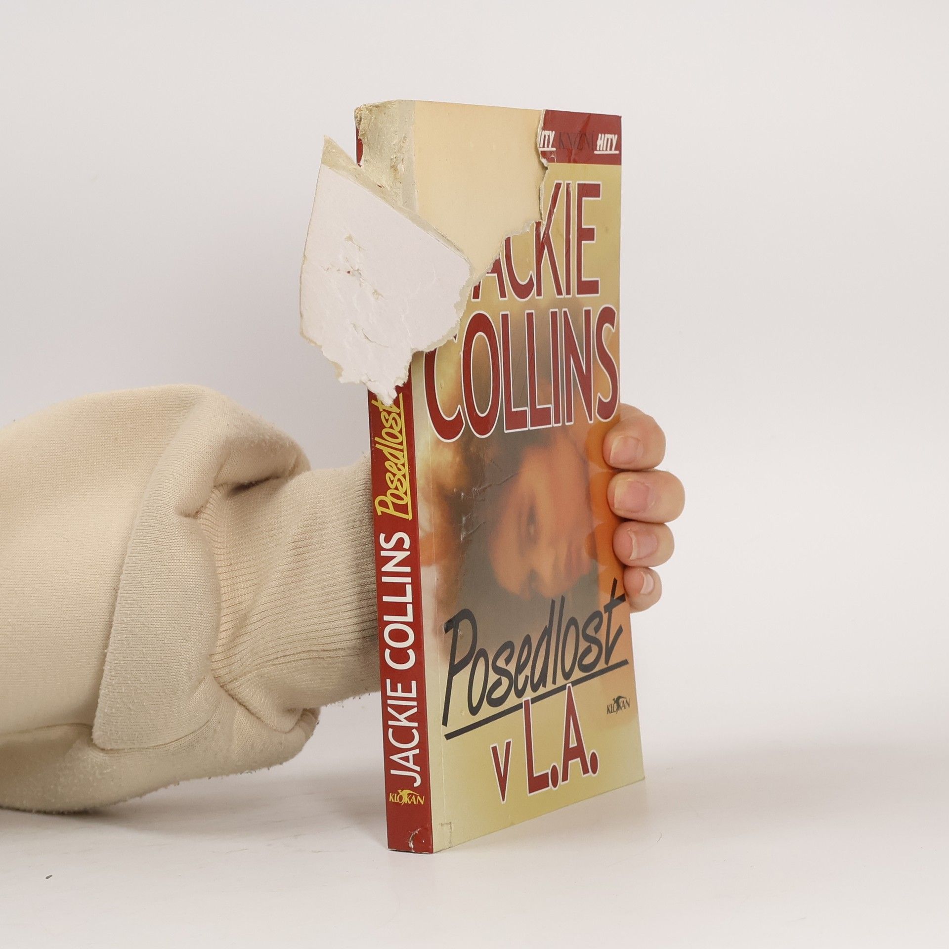 Jackie Collins Posedlost v L.A.