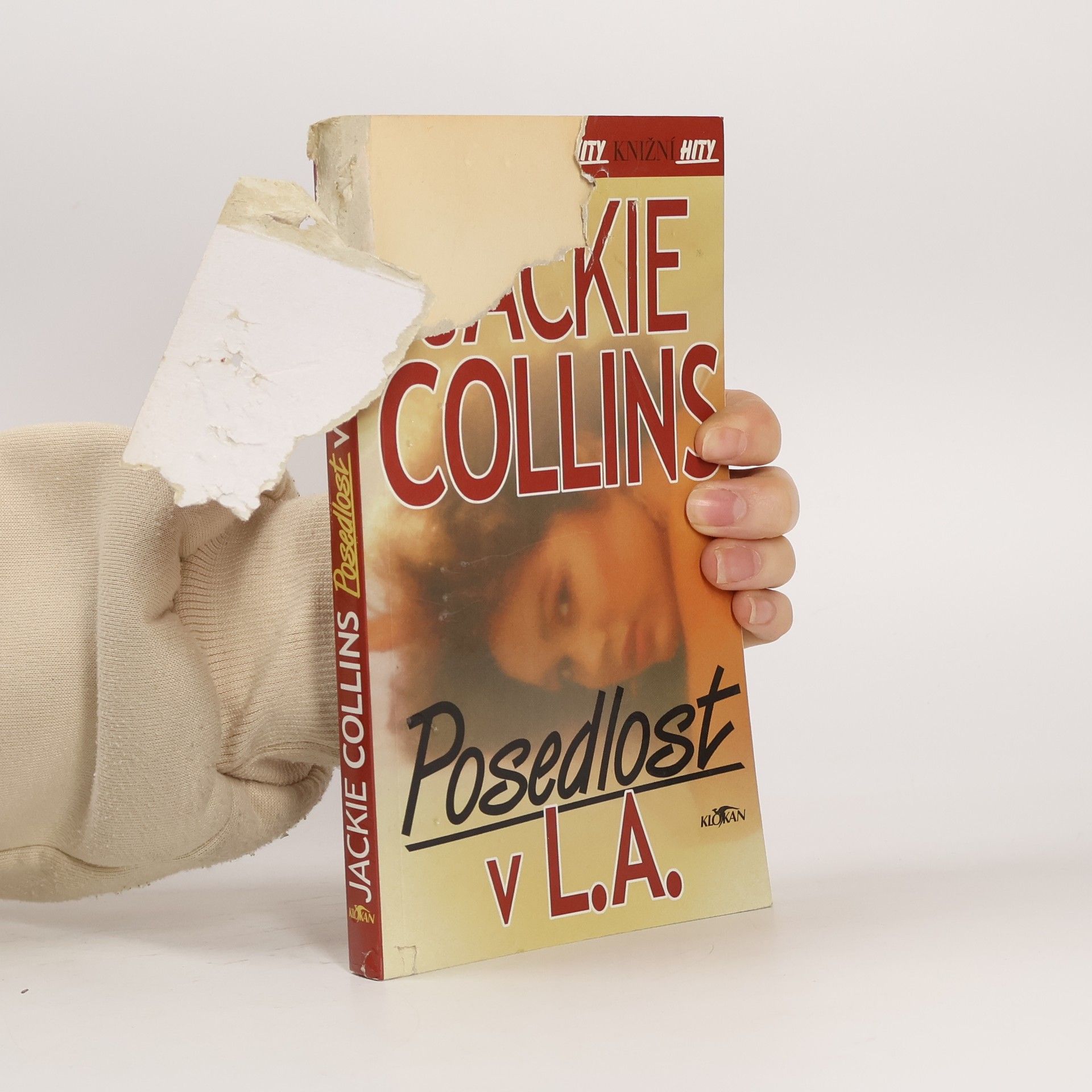 Jackie Collins Posedlost v L.A.