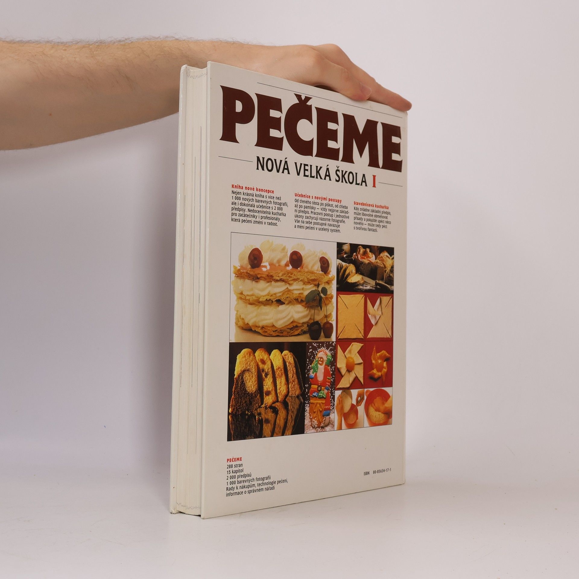 Arnold Zabert Nová velká škola. 1, Pečeme.