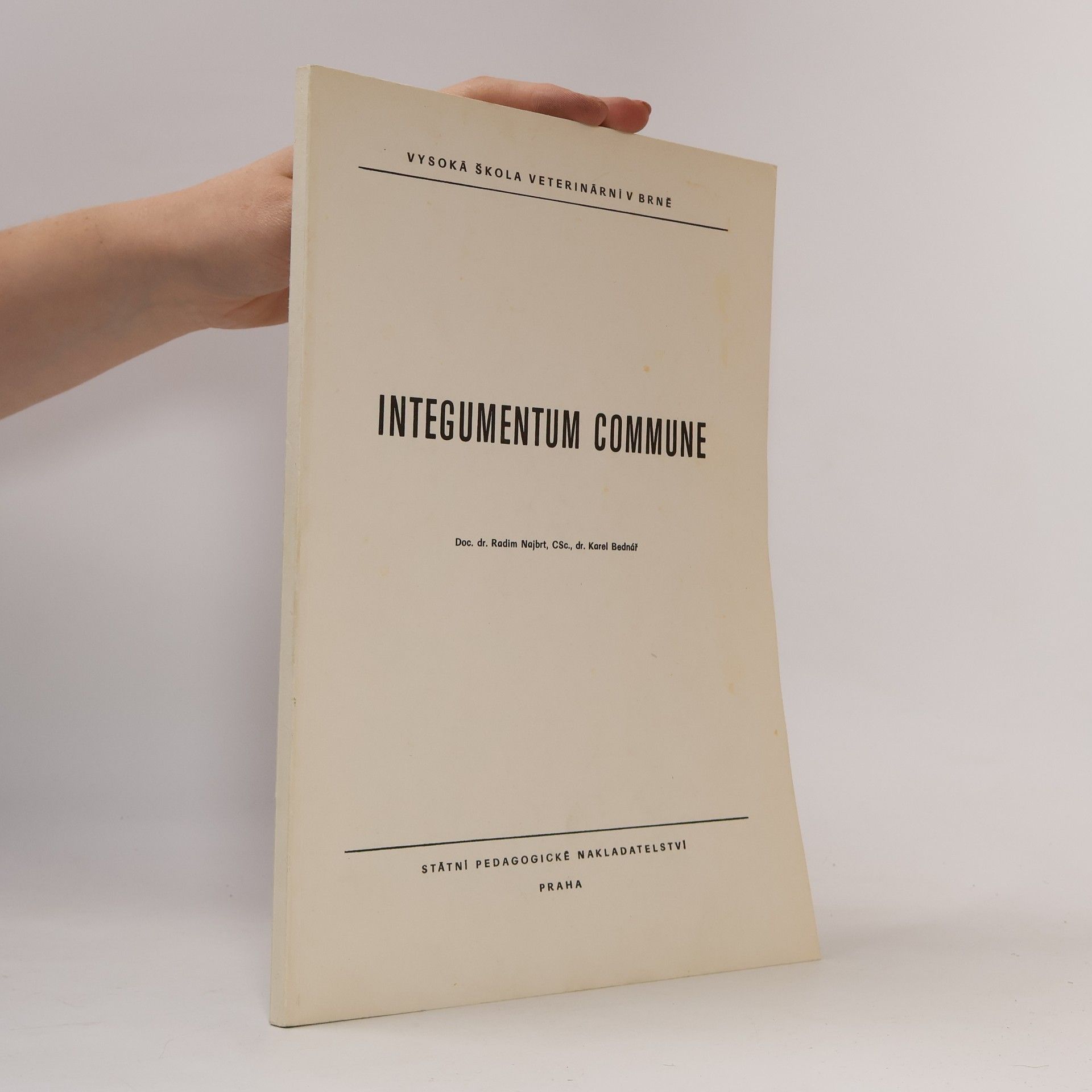 Radim Najbrt Integumentum Commune