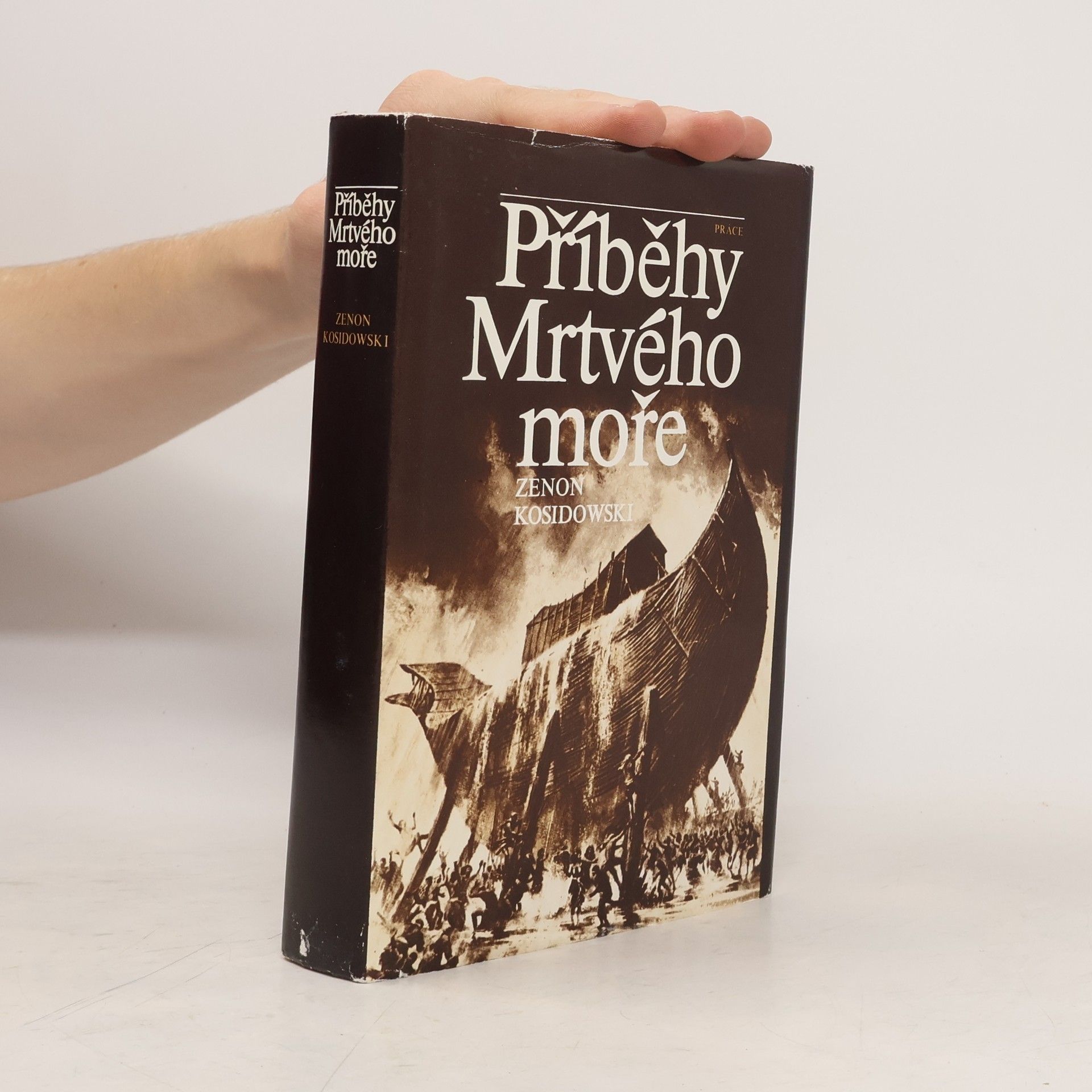 Zenon Kosidowski Příběhy Mrtvého moře