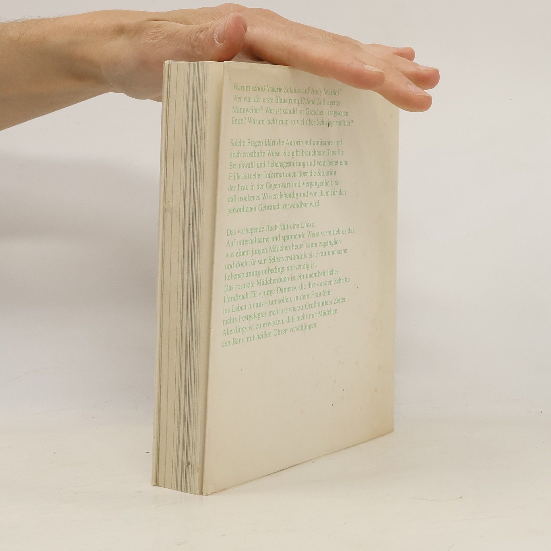 Hedi Wyss Das rosarote Mädchenbuch