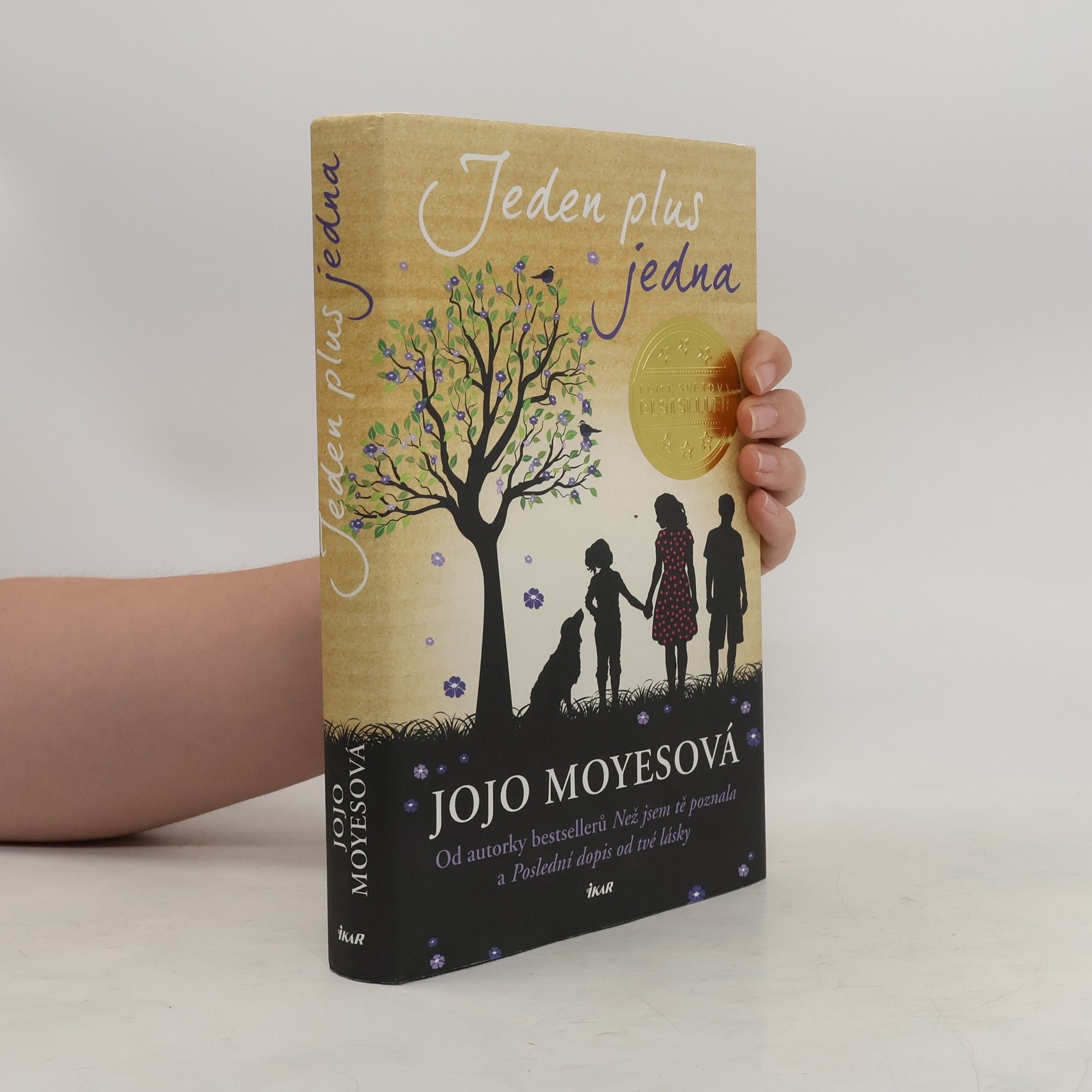 Jojo Moyes Jeden plus jedna