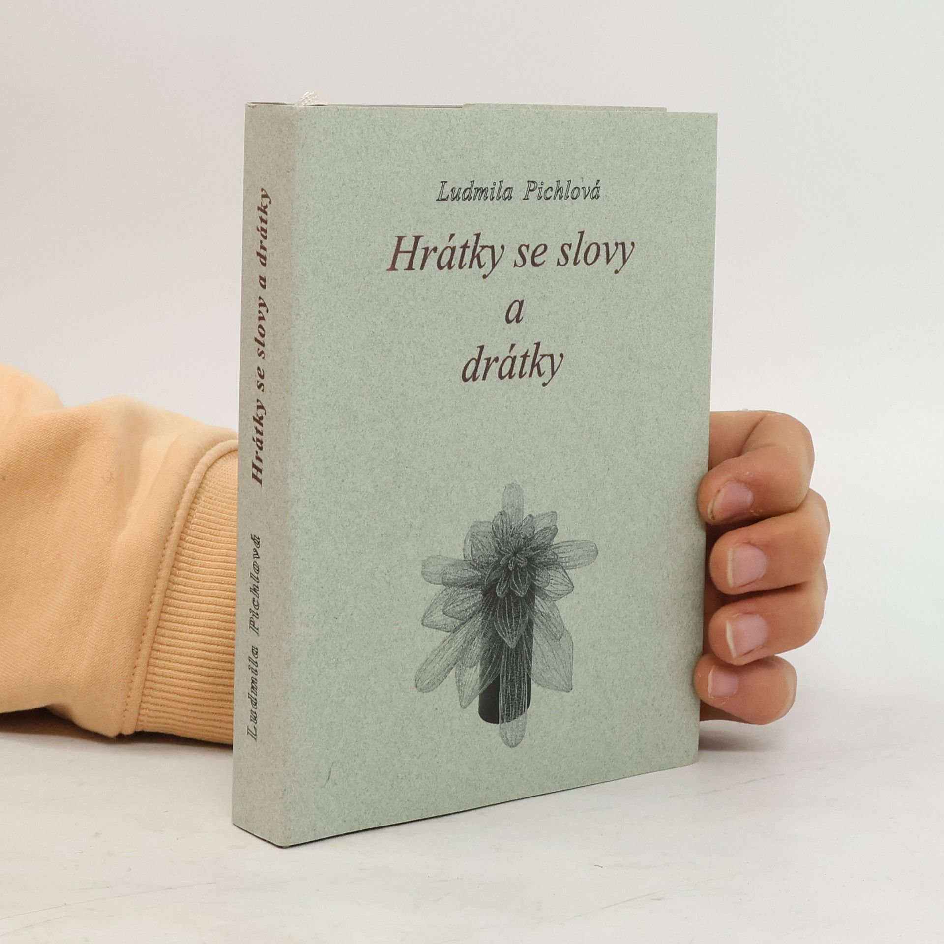 Ludmila Pichlová Hrátky se slovy a drátky