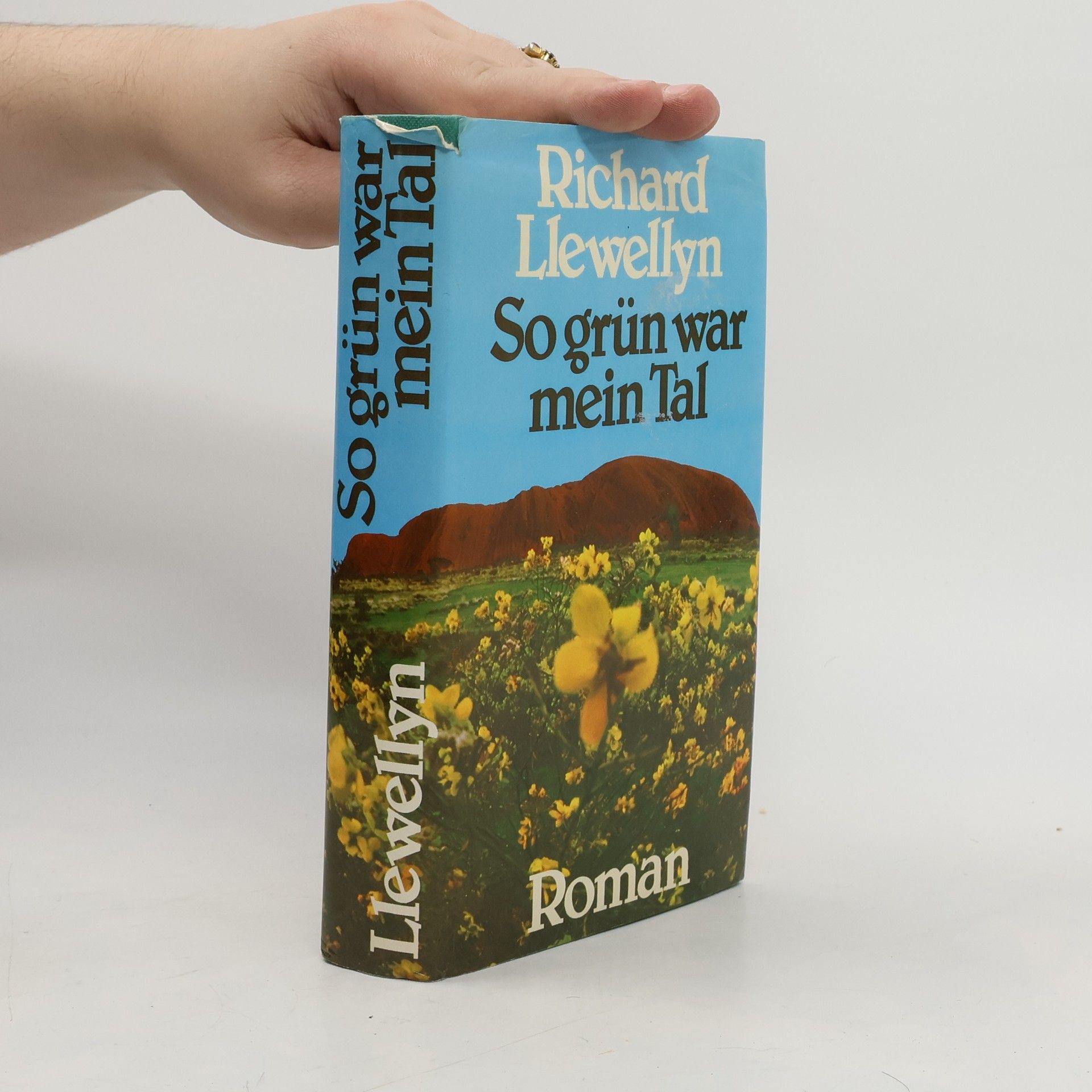 Richard Llewellyn So grün war mein Tal