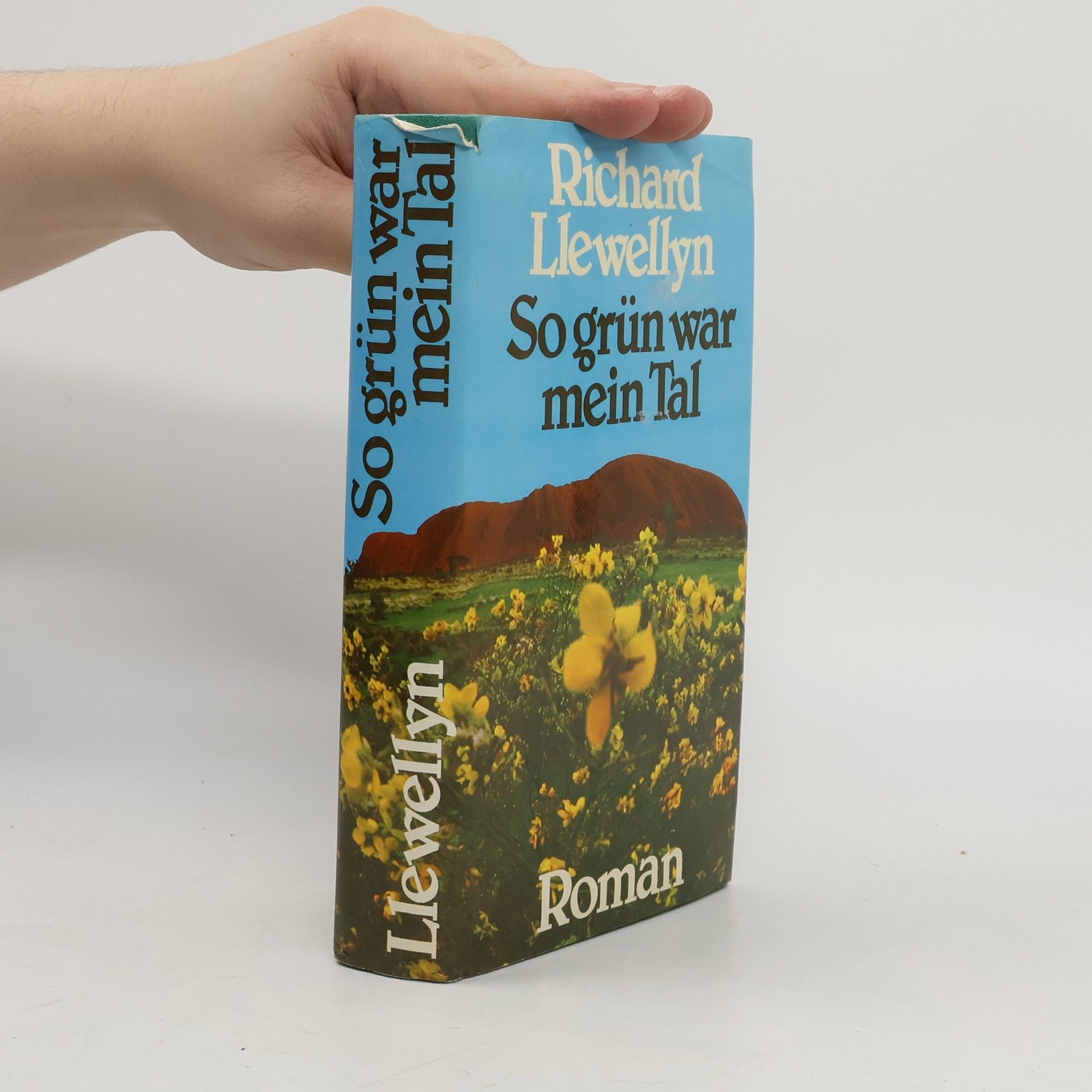 Richard Llewellyn So grün war mein Tal