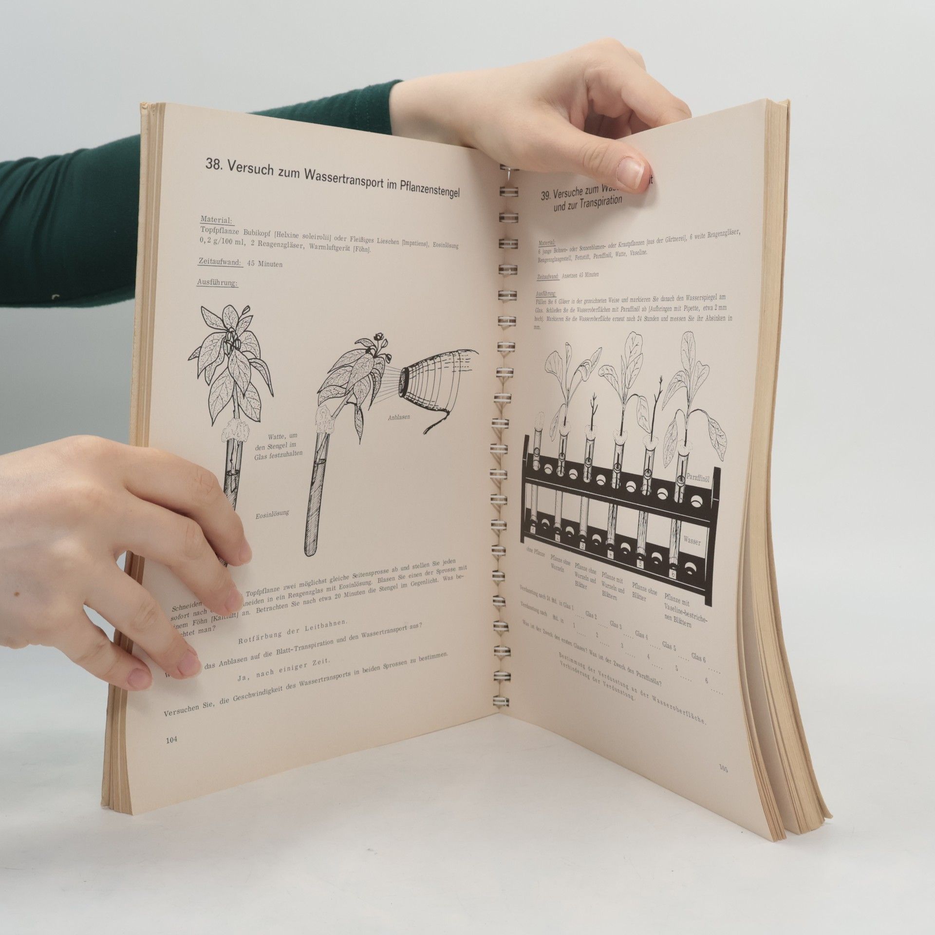 Knodel Biologie-Praktikum