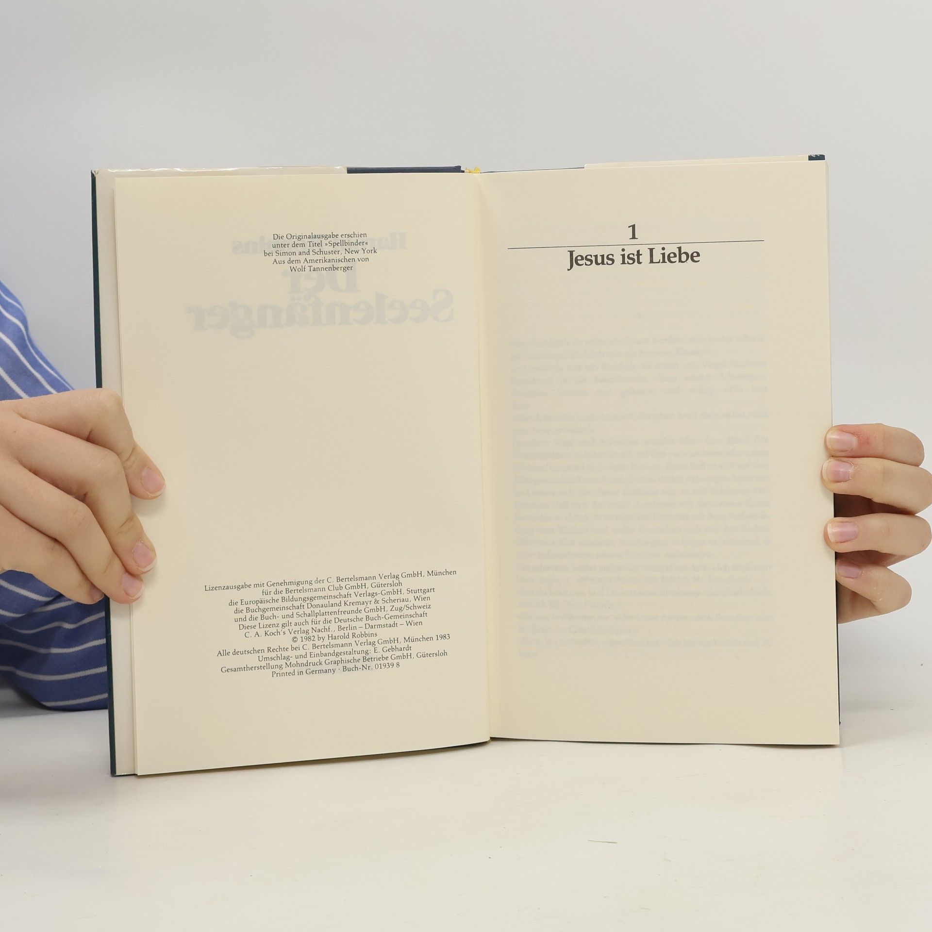 Harold Robbins Der Seelenfänger
