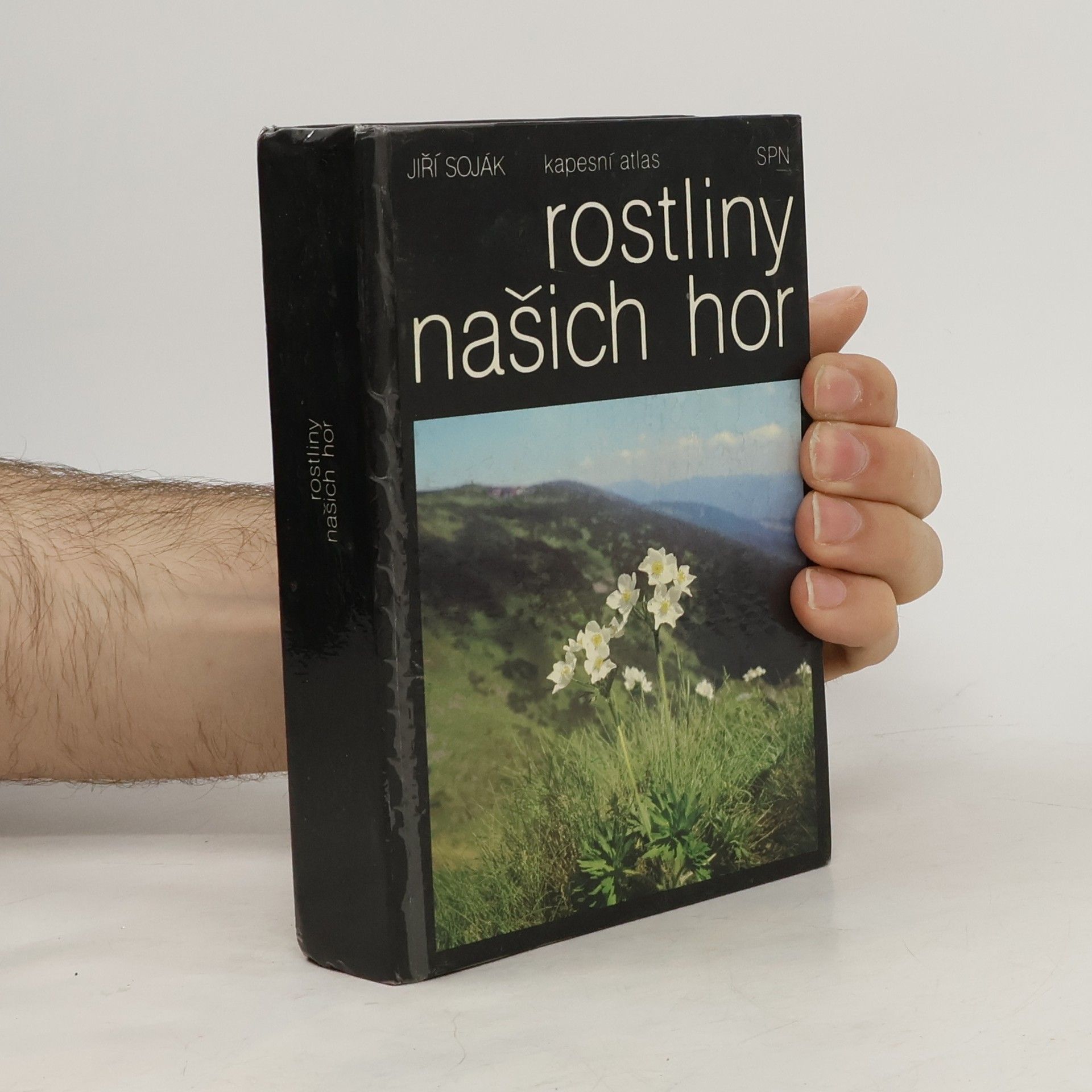 Rostliny našich hor