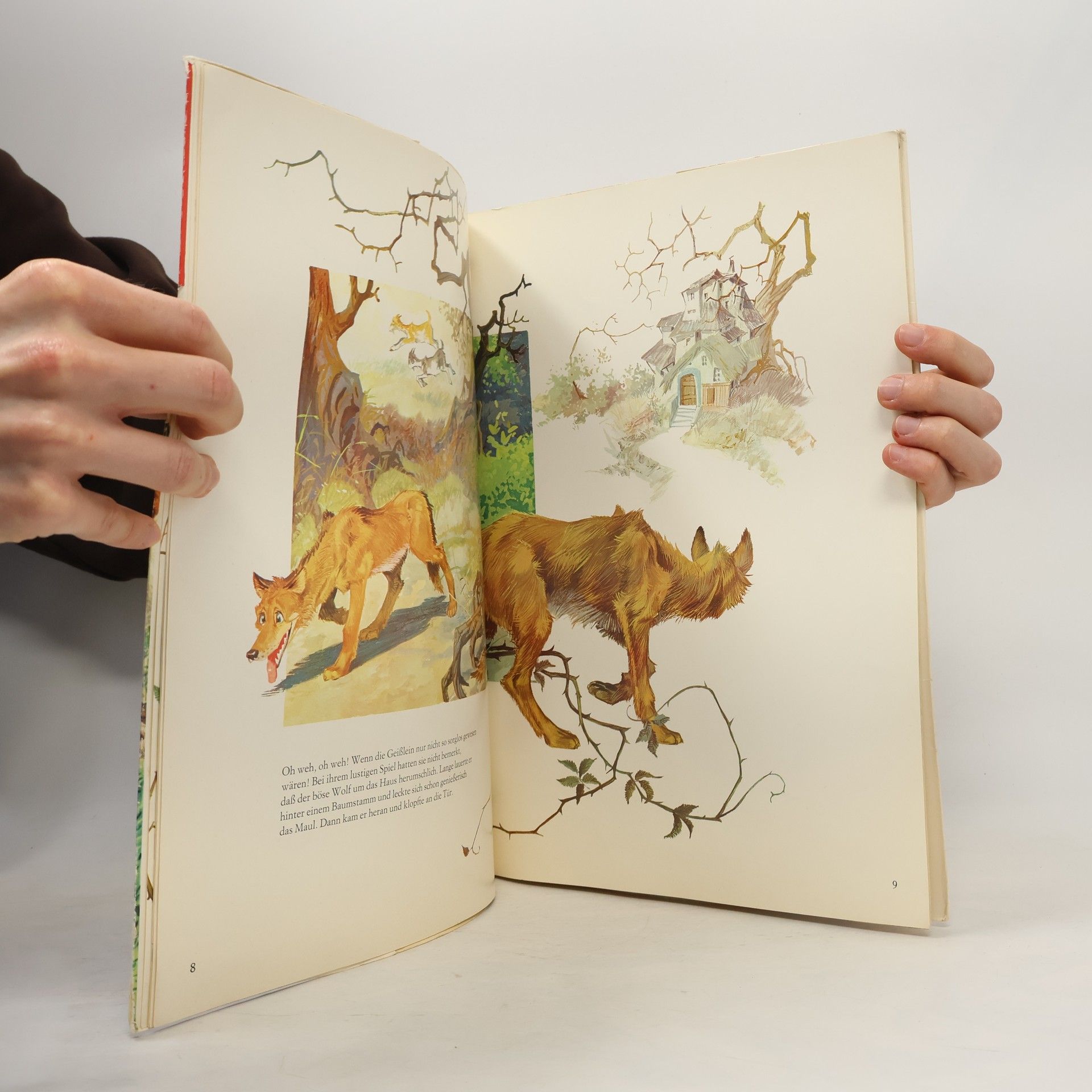 Autorenkollektiv Der Wolf und die 7 Geislein