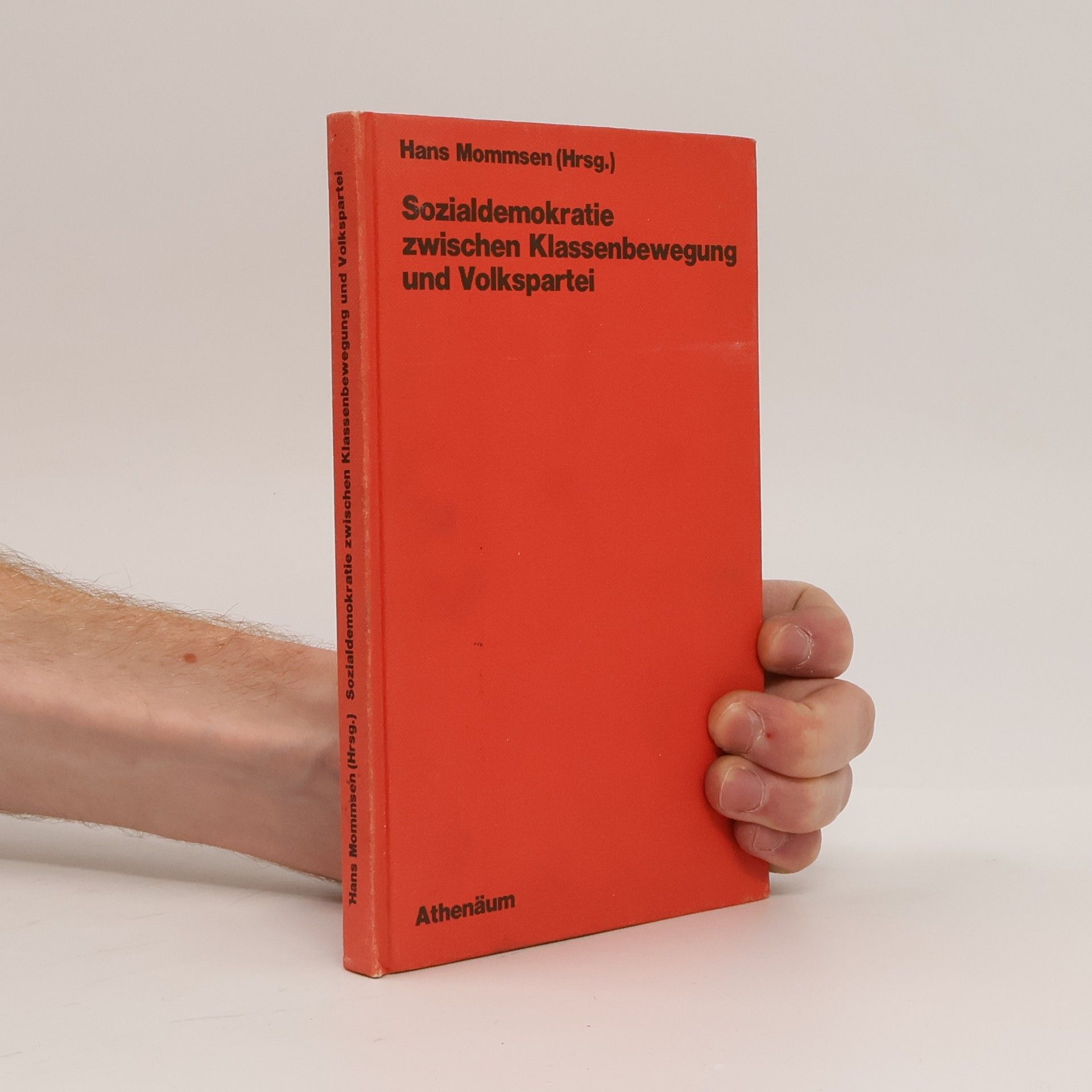 Sozialdemokratie zwischen Klassenbewegung und Volkspartei