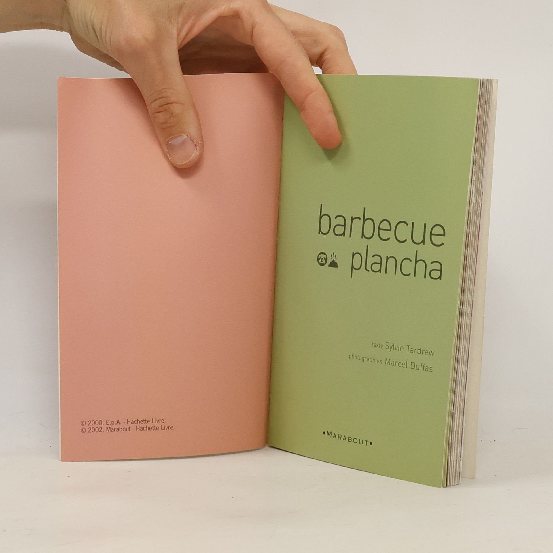 Sylvie Tardrew Barbecue et Plancha