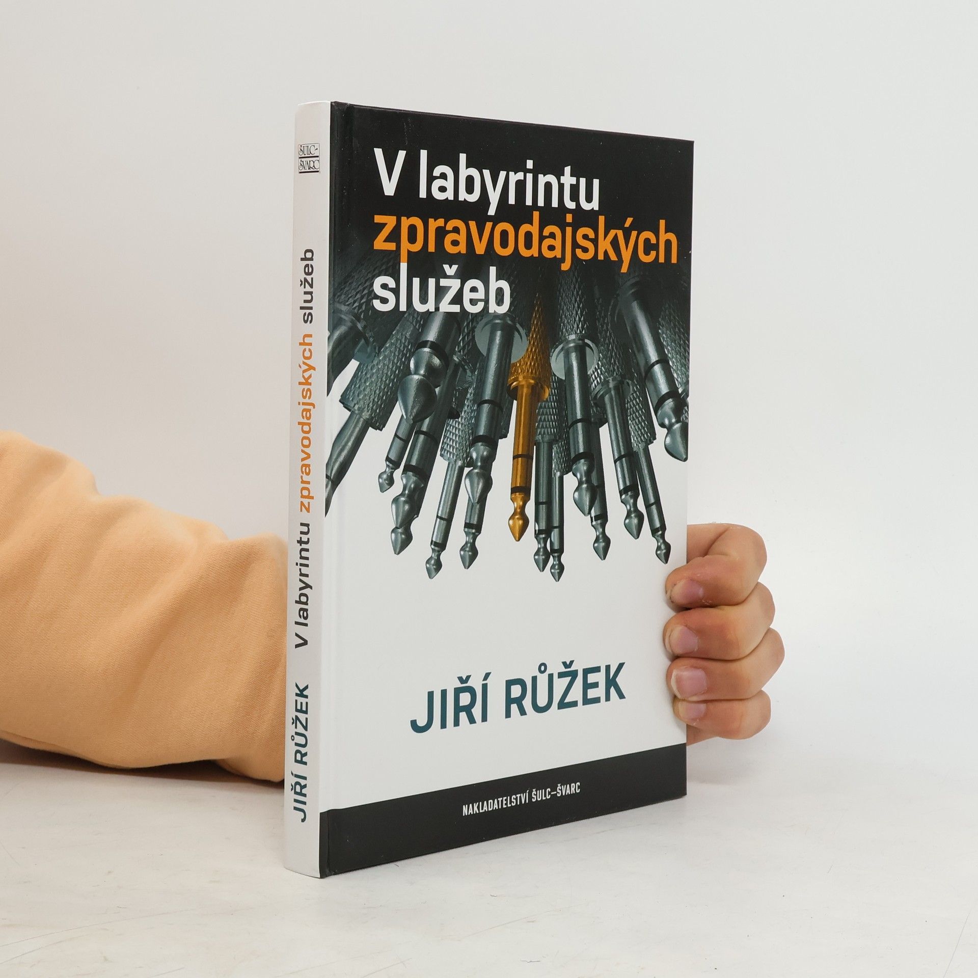 Jiří Růžek V labyrintu zpravodajských služeb