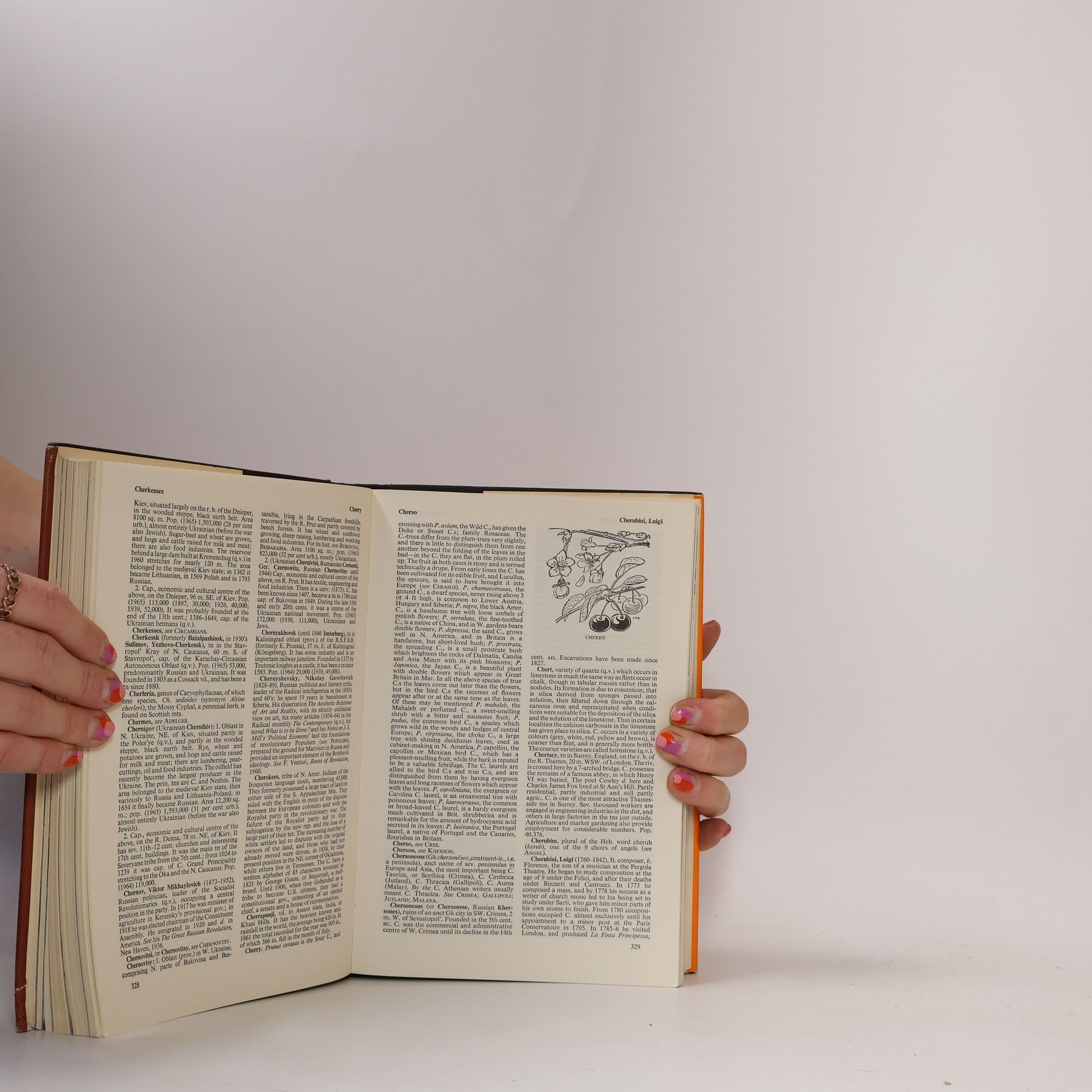Kolektiv autorů Everyman's Encyclopaedia 3