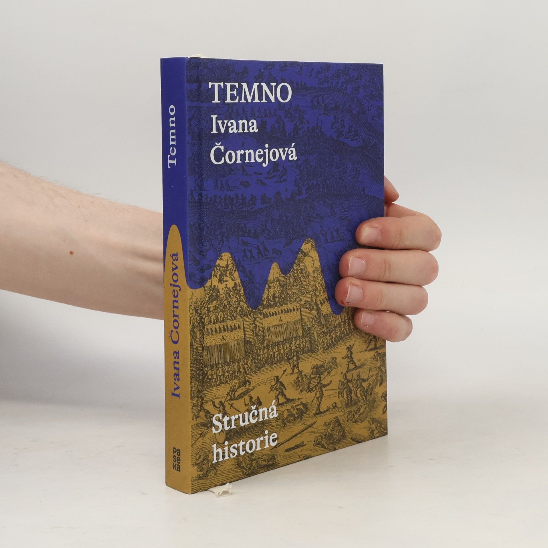 Ivana Čornejová Temno. Stručná historie