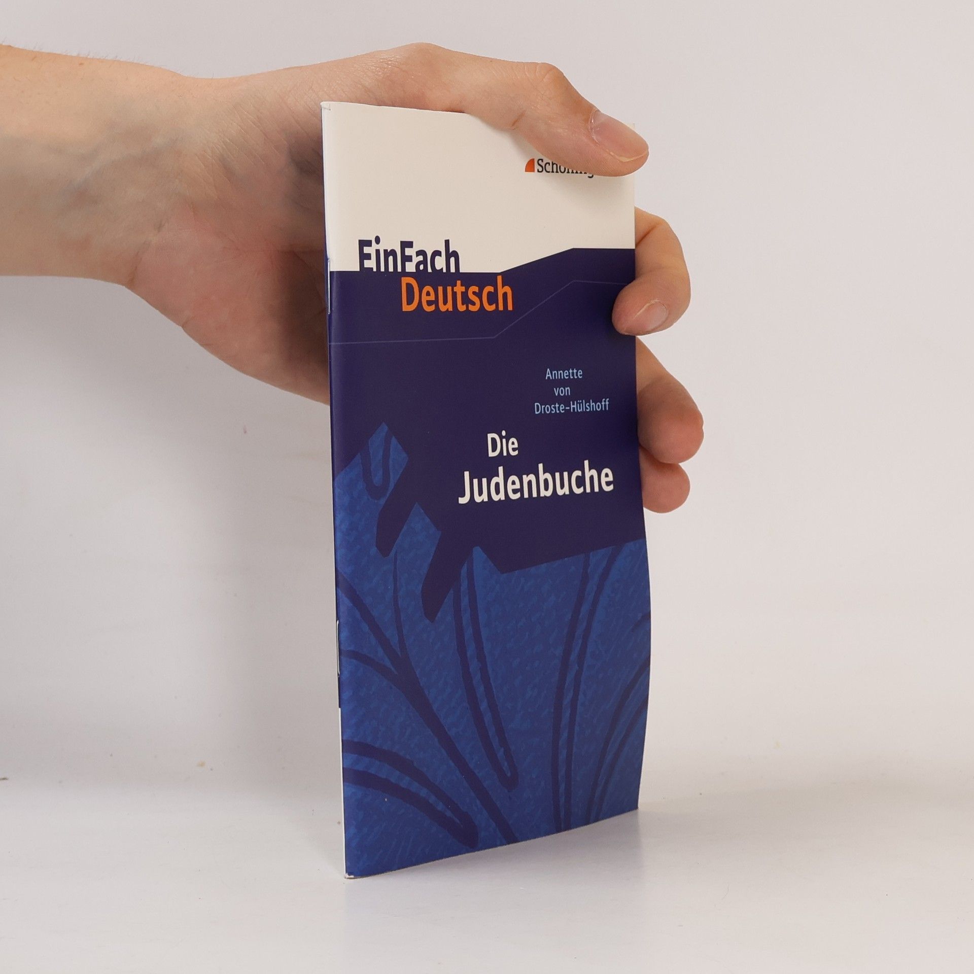 Doris Hönes Die Judenbuche: Ein Sittengemälde aus dem gebirgigen Westfalen. EinFach Deutsch Textausgaben