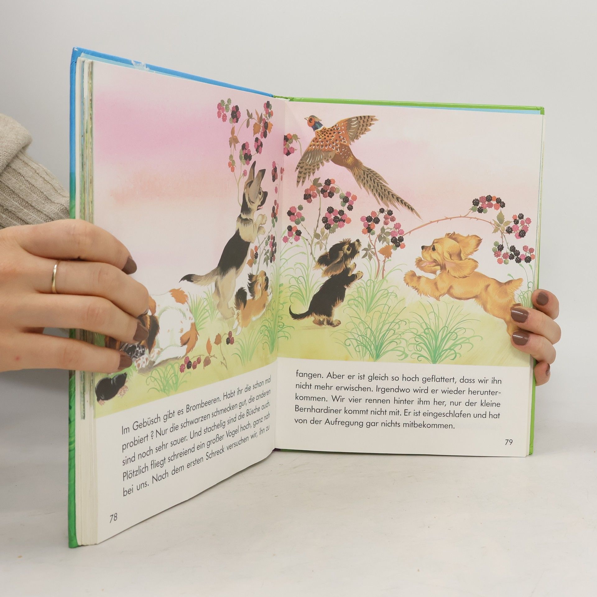 Gisela Fischer-Lingat Mein schönstes Tiergeschichtenbuch