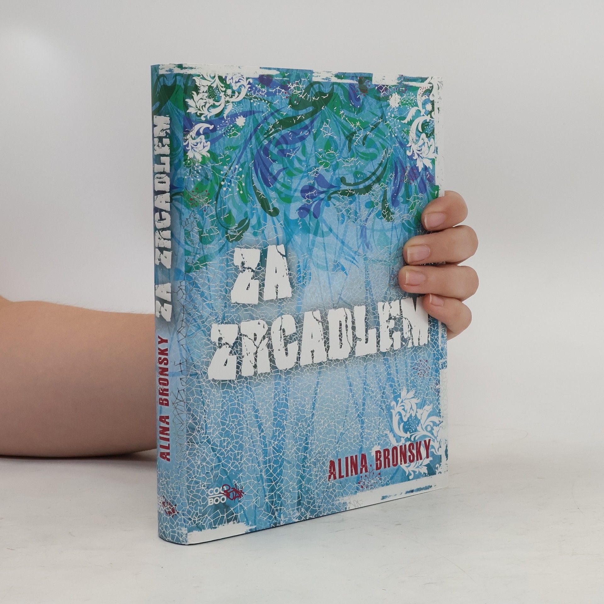 Alina Bronsky Za zrcadlem
