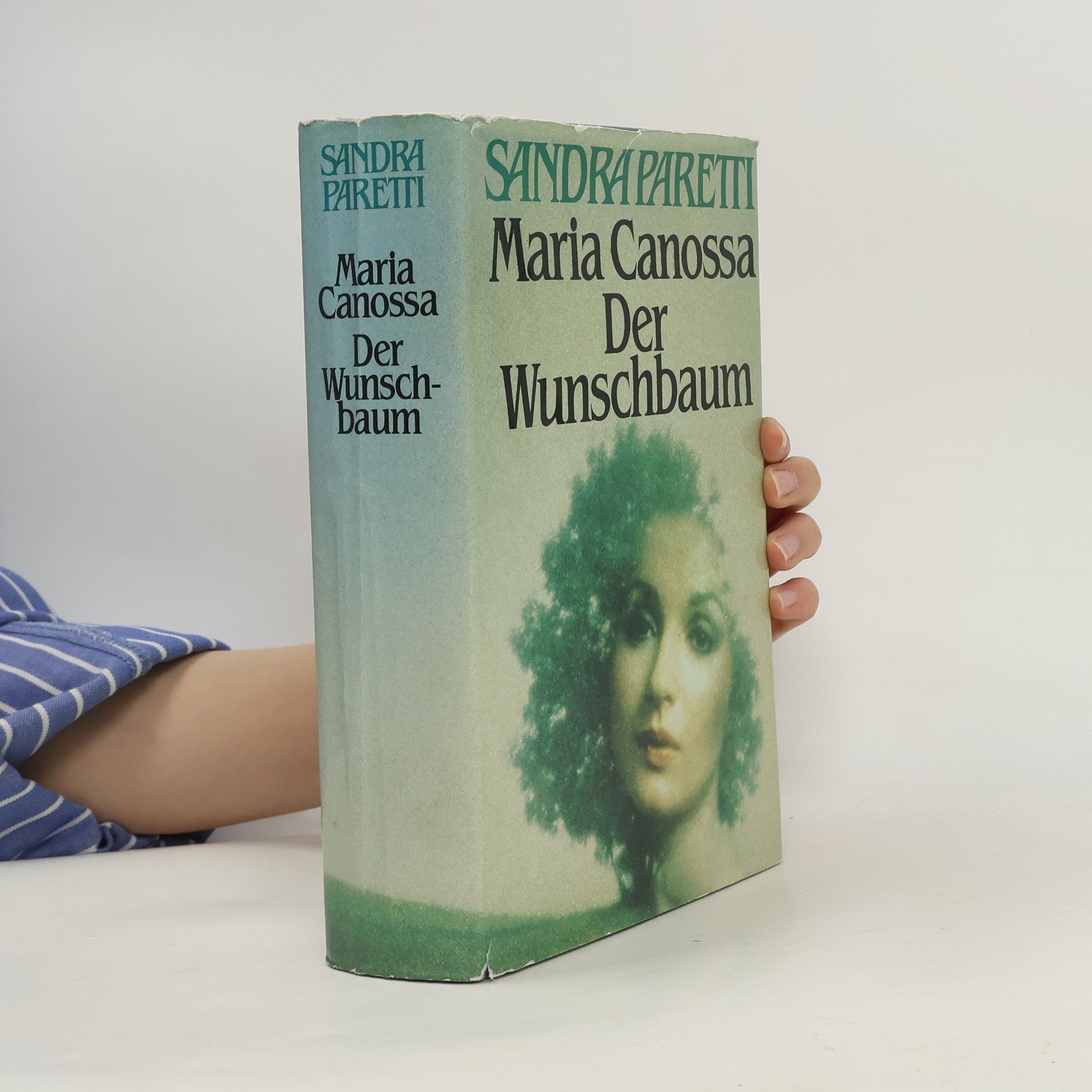 Sandra Paretti Maria Canossa. Der Wunschbaum