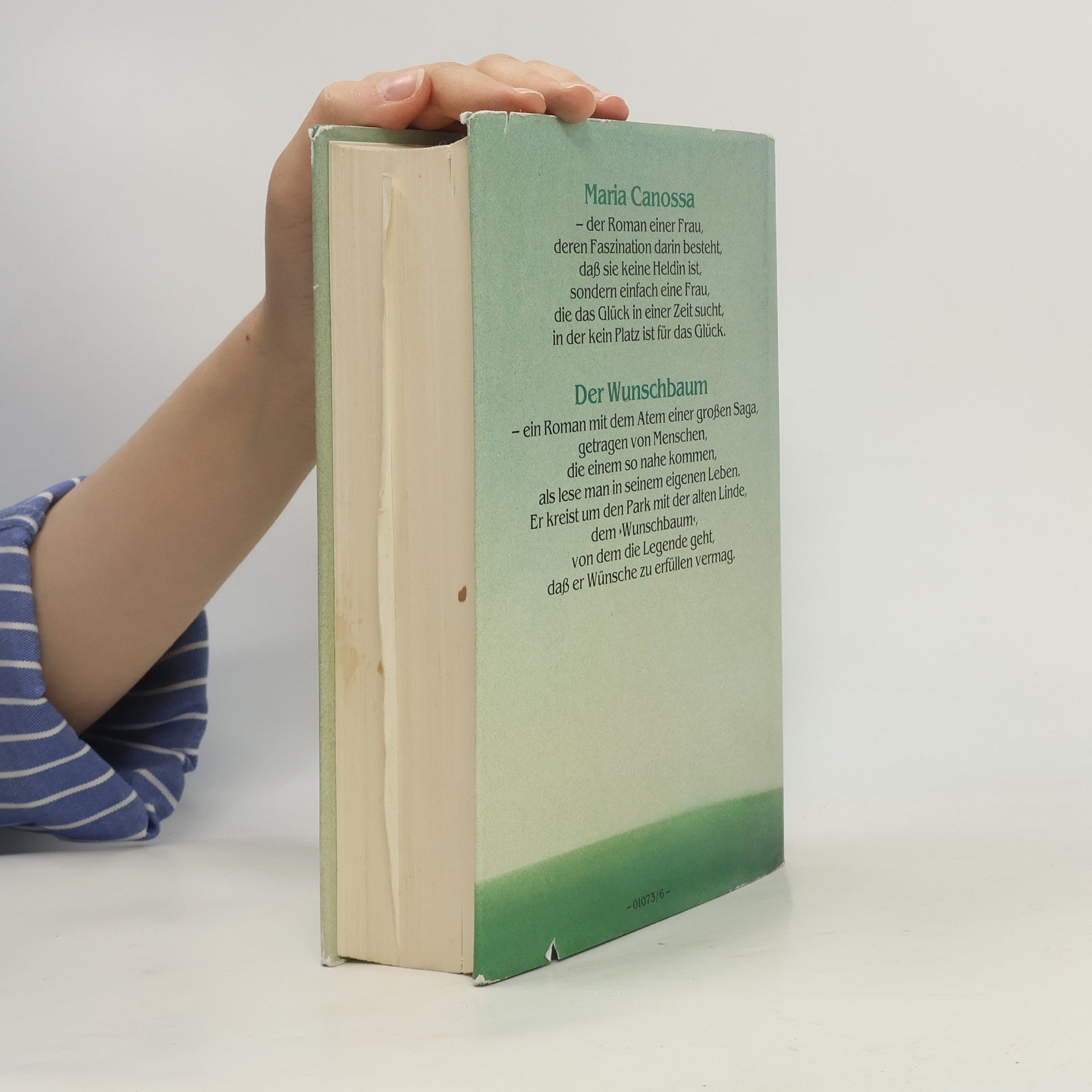 Sandra Paretti Maria Canossa. Der Wunschbaum