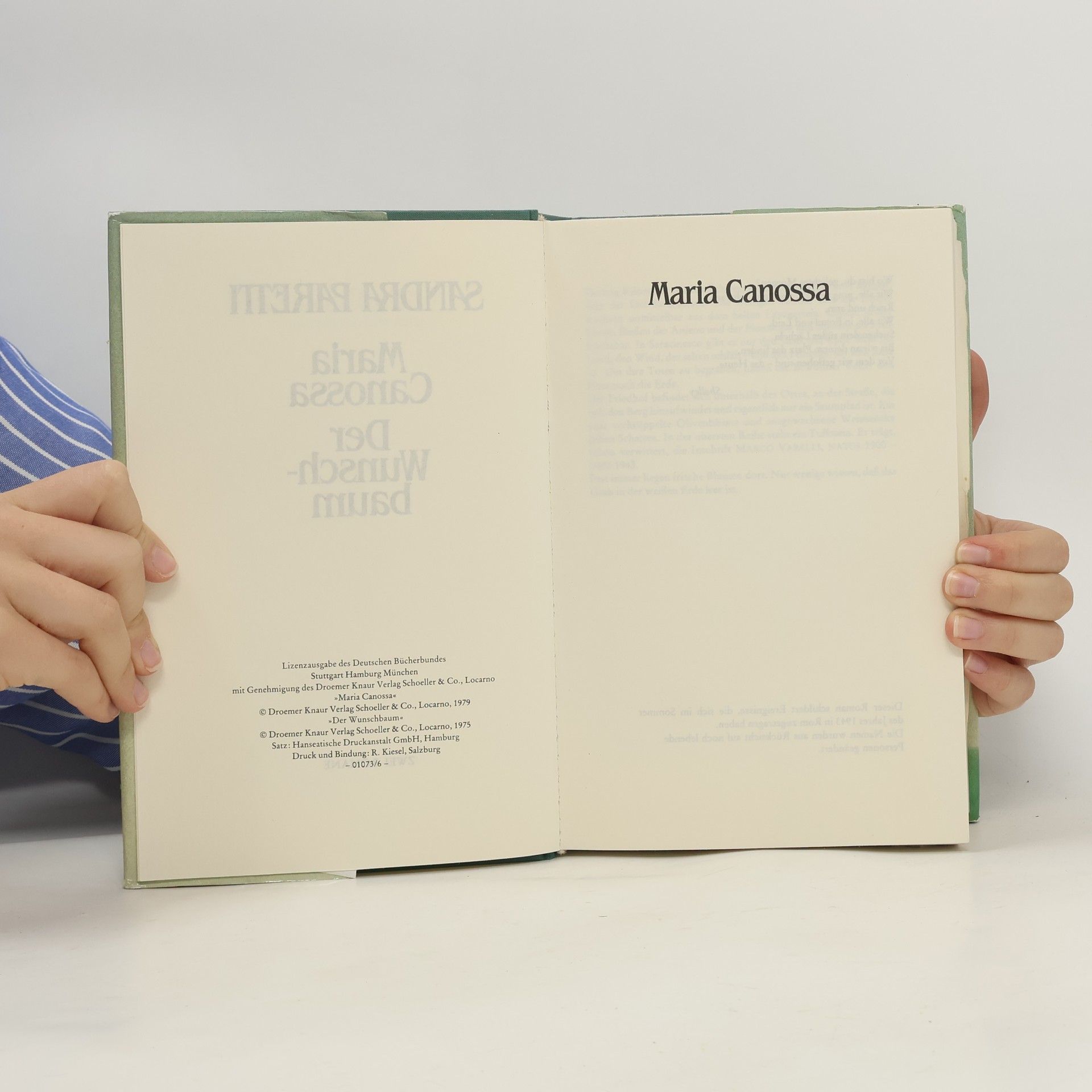 Sandra Paretti Maria Canossa. Der Wunschbaum