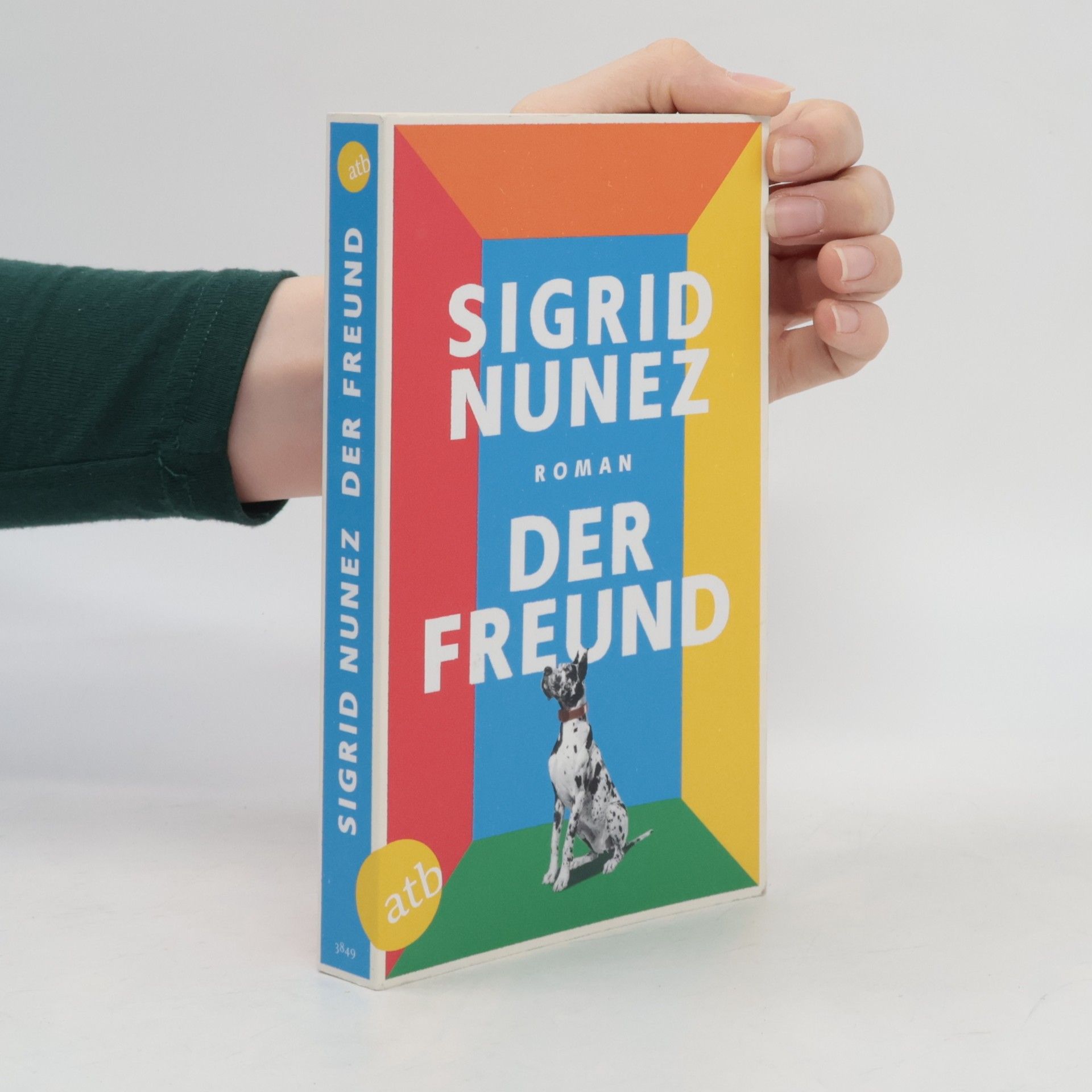 Sigrid Nunez Der Freund