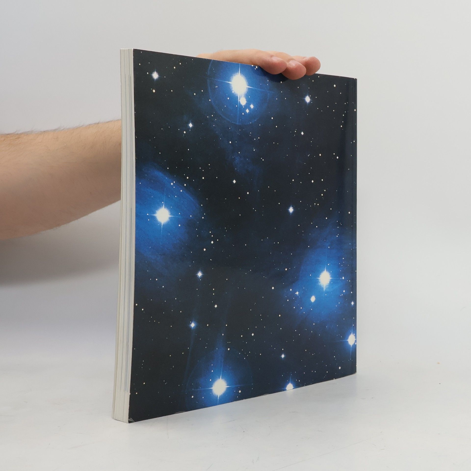 Wilfried Seipel Mensch und Kosmos 2