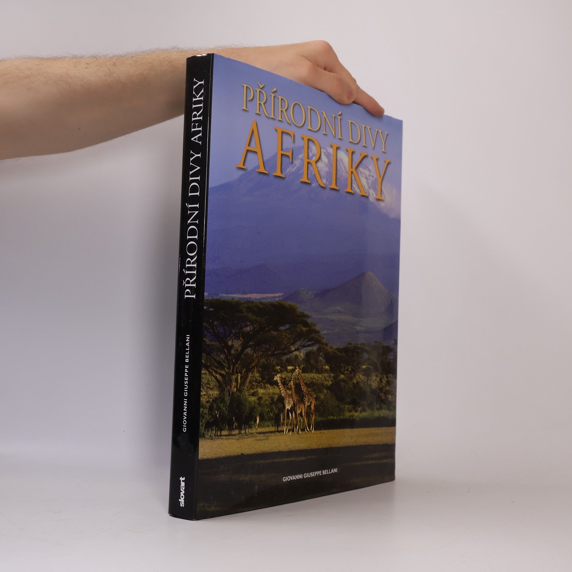 Giovanni Giuseppe Bellani Přírodní divy Afriky