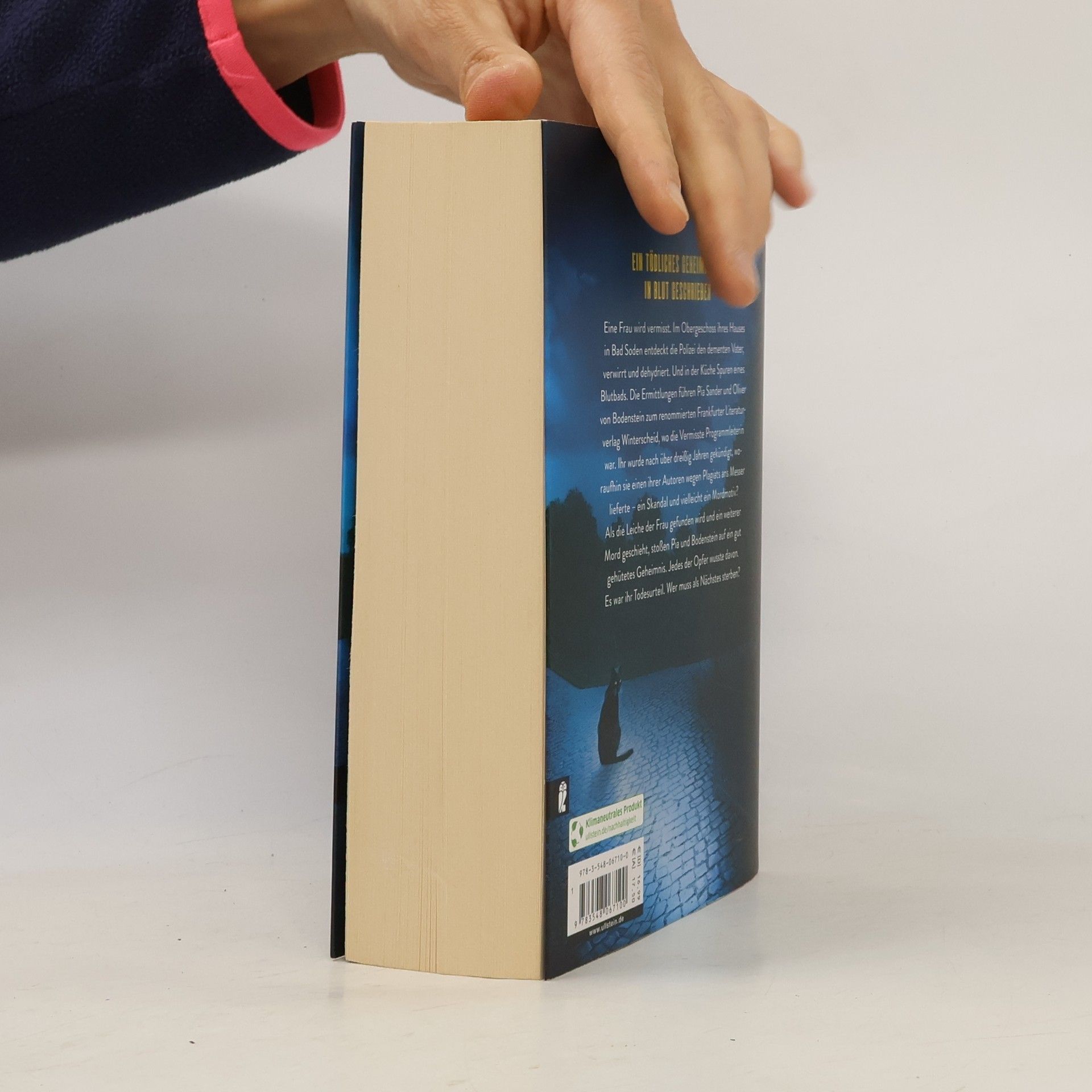 Nele Neuhaus In ewiger Freundschaft