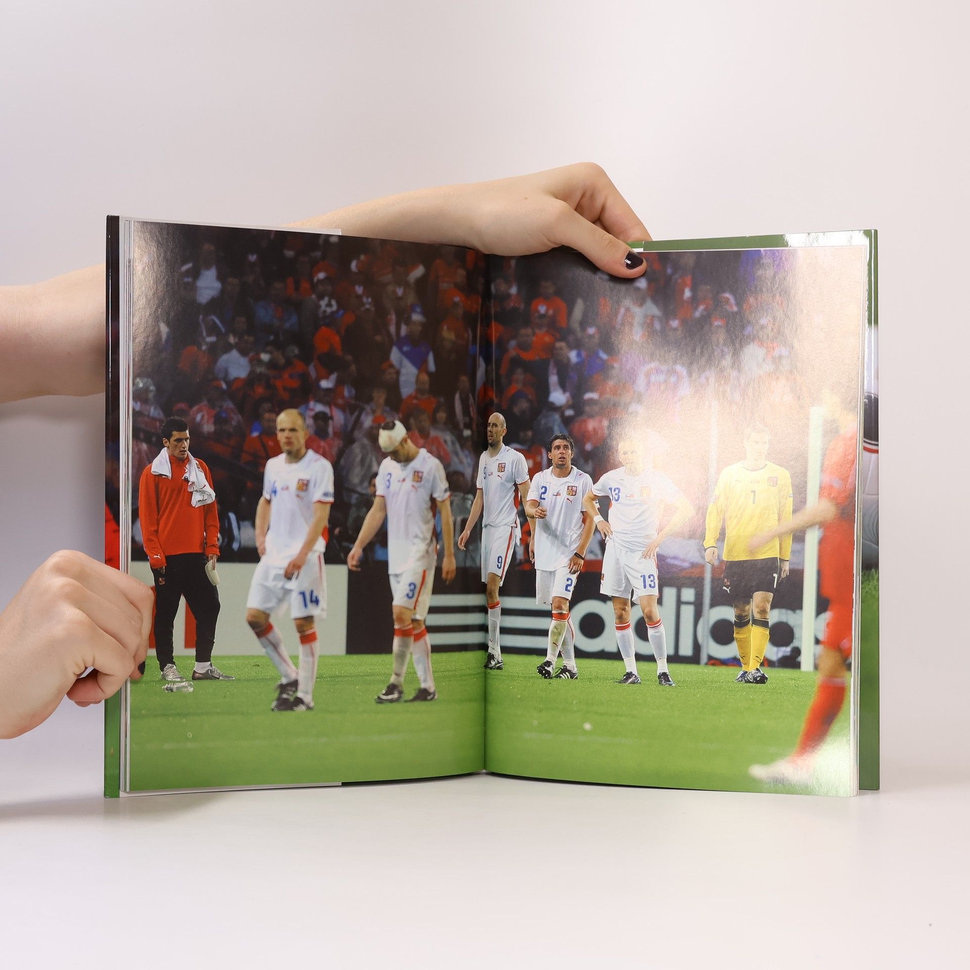 Václav Tichý Euro 2008 : XIII. mistrovství evropy ve fotbale : Rakousko - Švýcarsko
