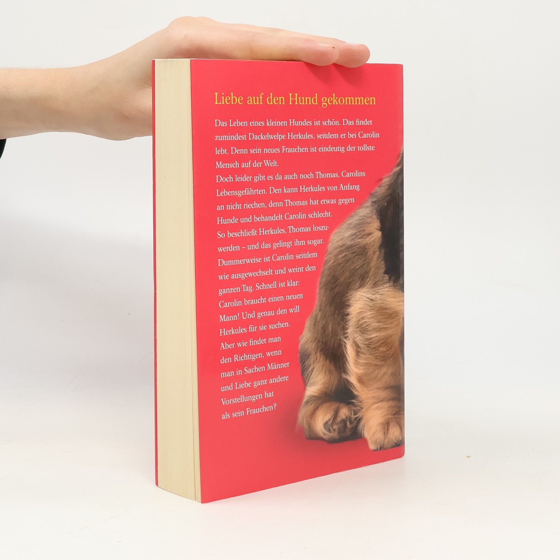 Frauke Scheunemann Dackelblick