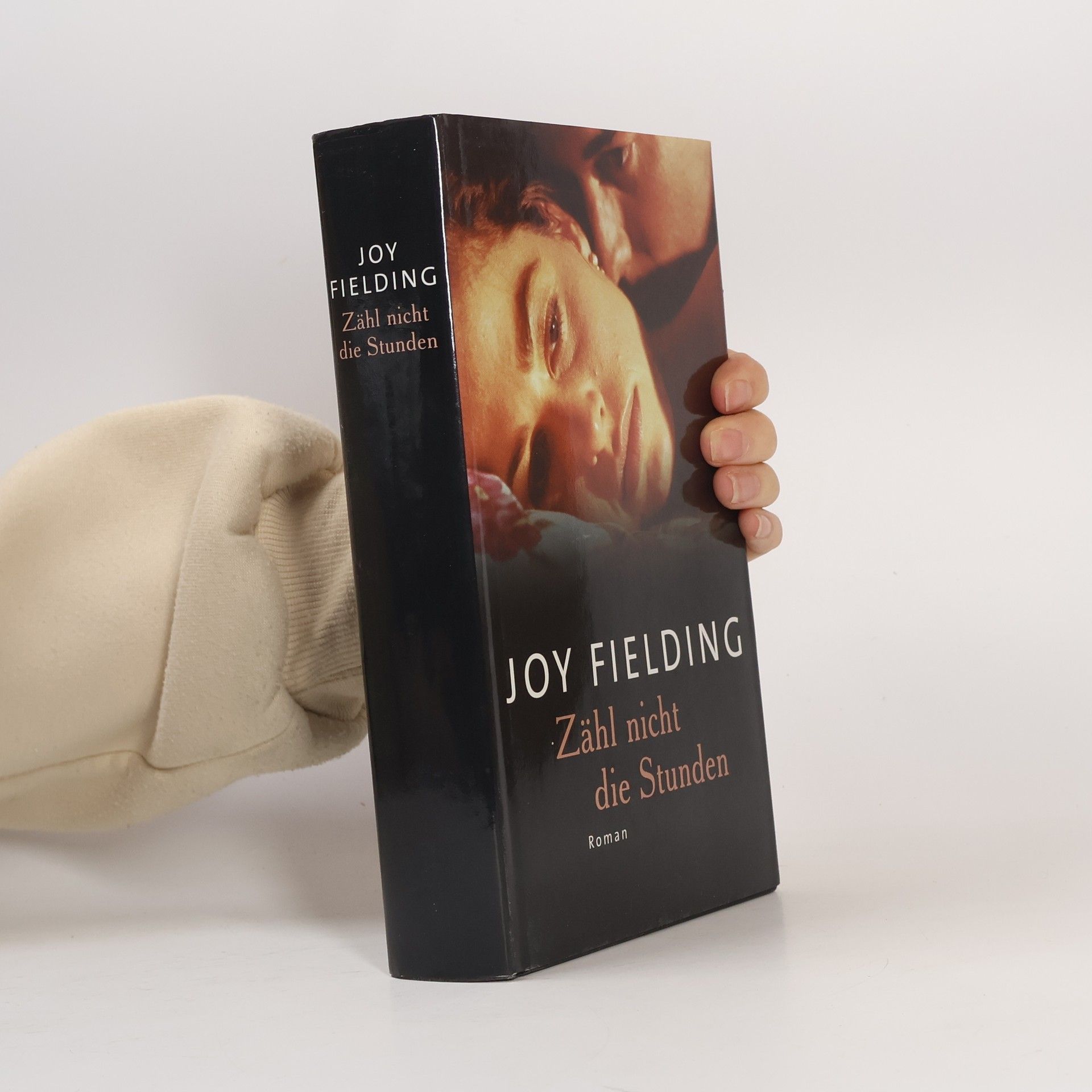 Joy Fielding Zähl nicht die Stunden