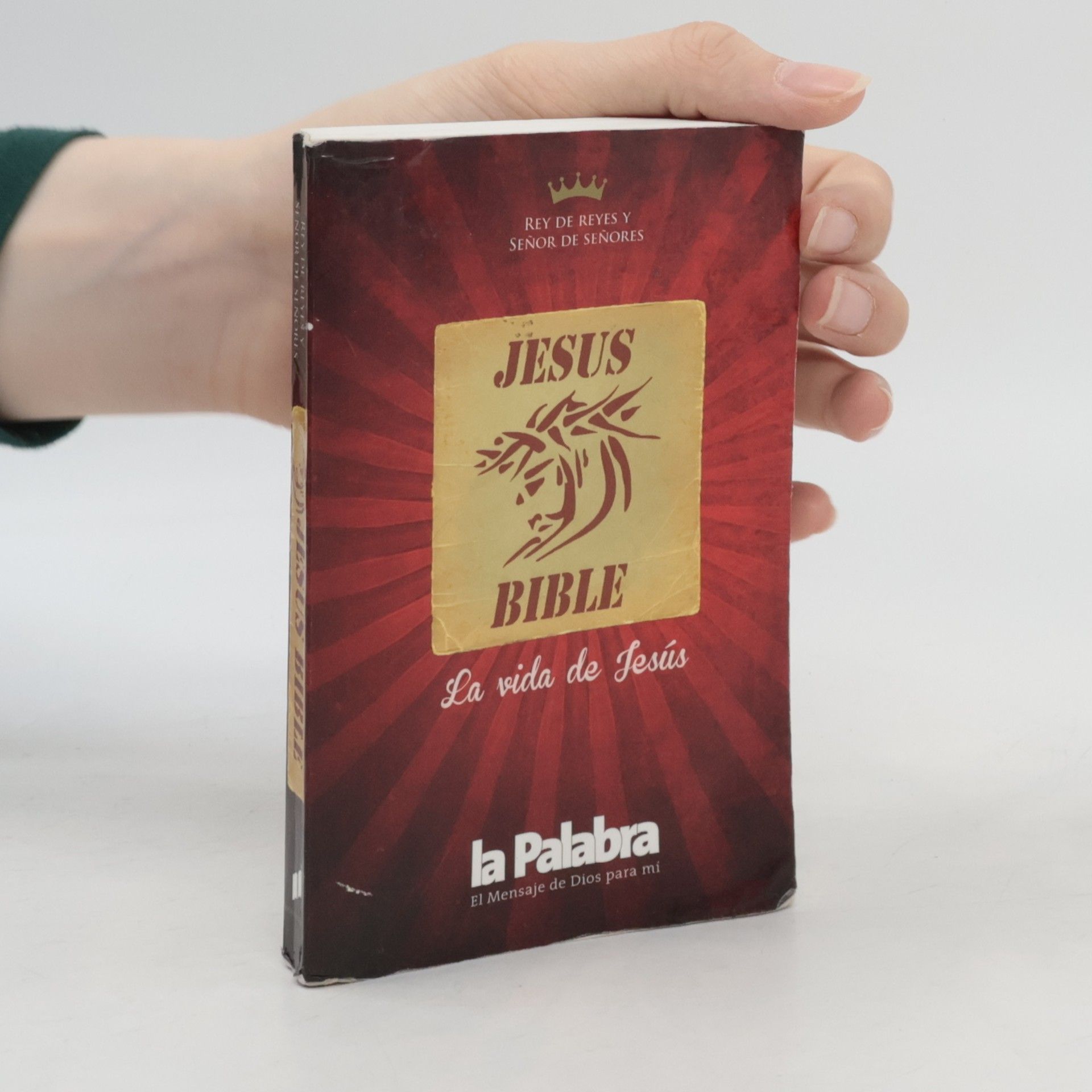 Collectif d'auteurs Jesus Bible