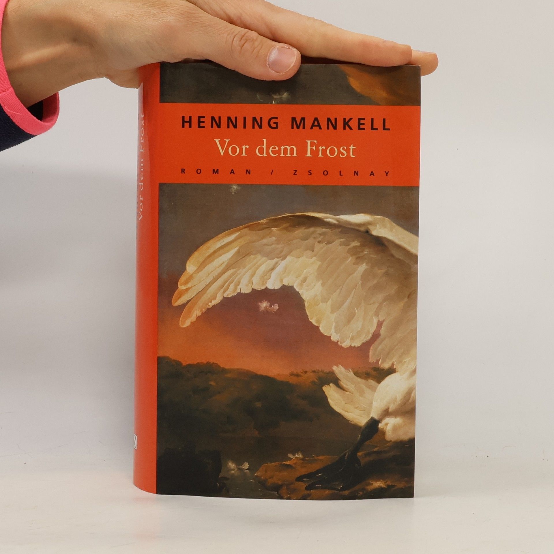 Henning Mankell Vor dem Frost