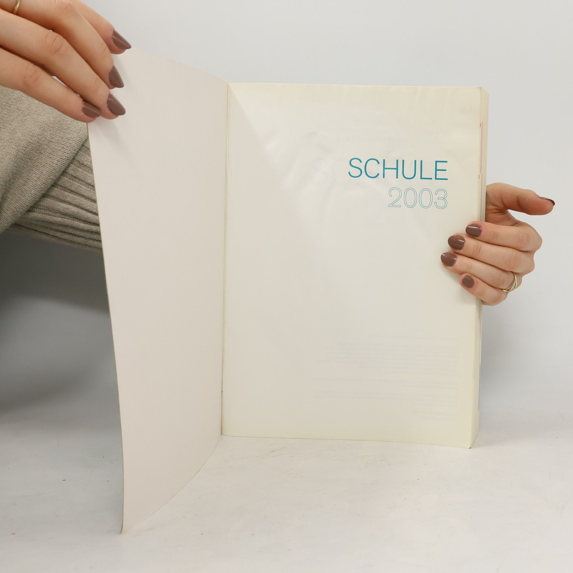 Kolektiv autorů Schule 2003