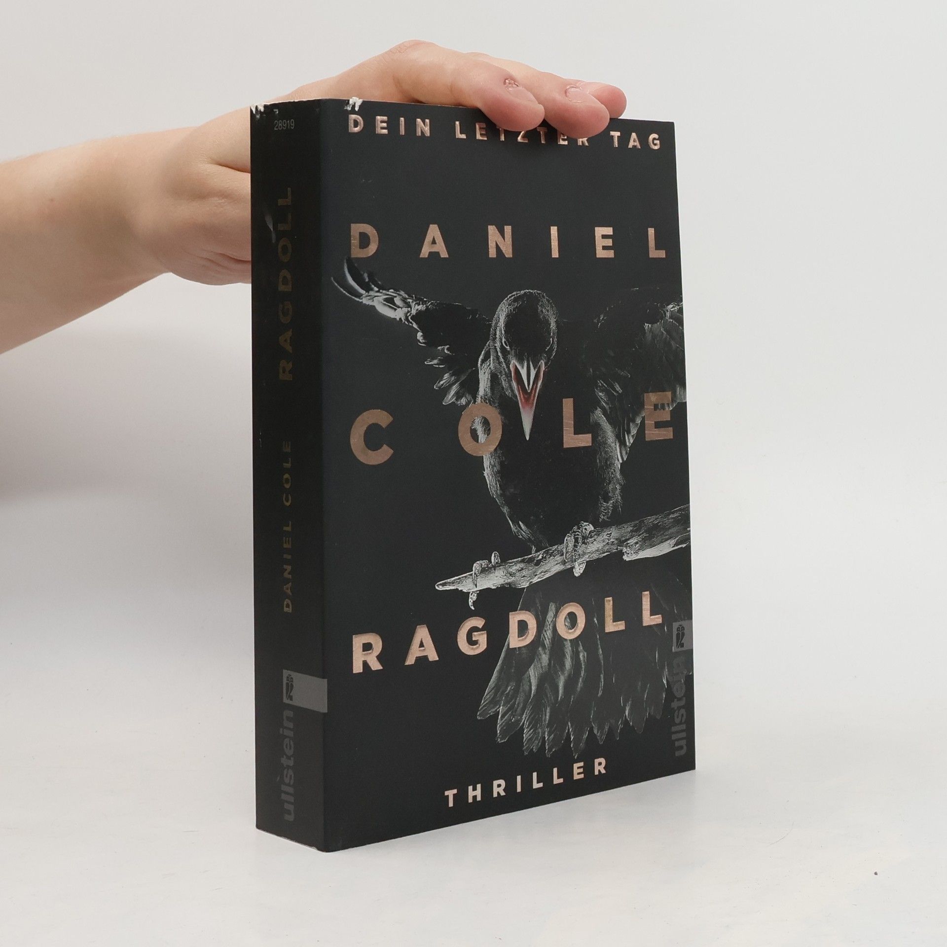 Daniel Cole Ragdoll