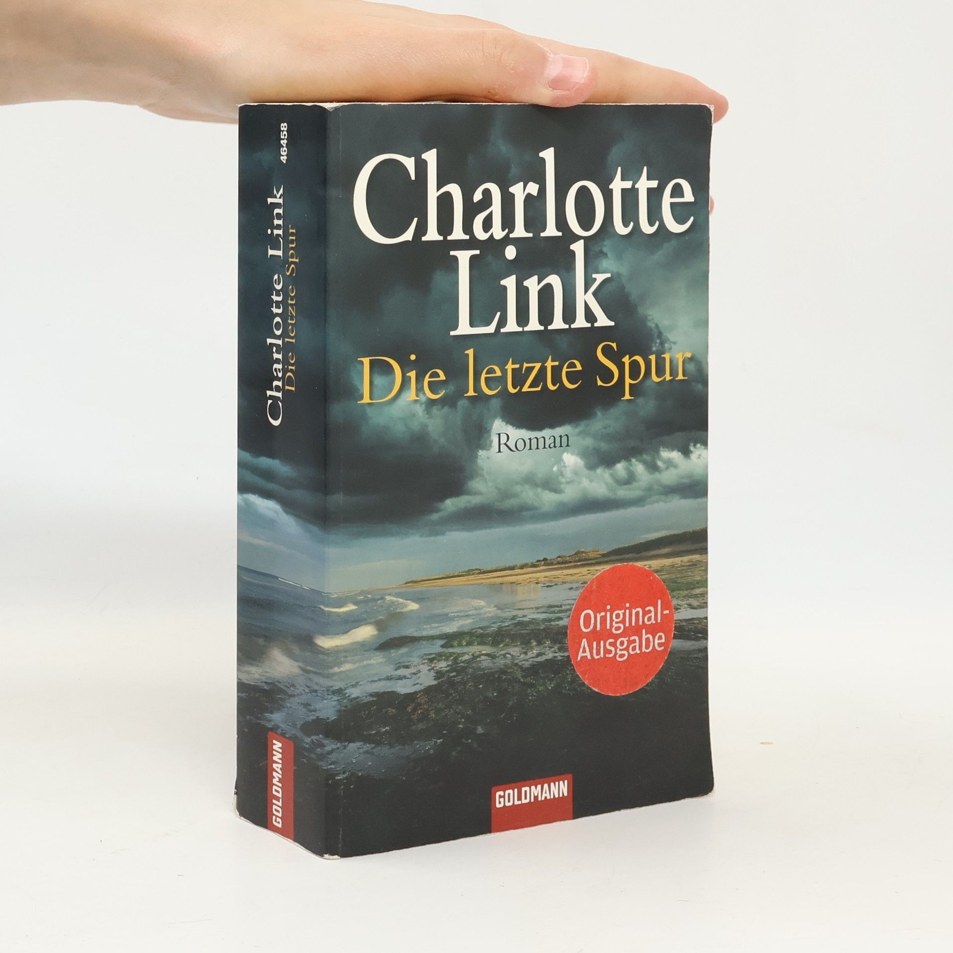 Charlotte Link Die letzte Spur
